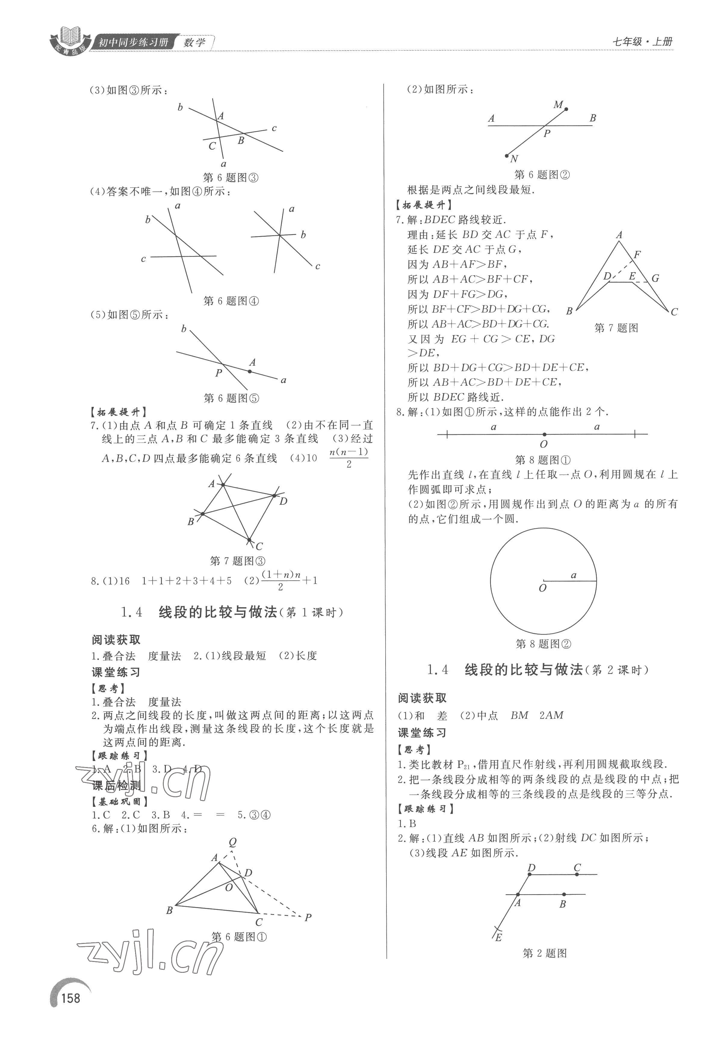 2022年同步练习册泰山出版社七年级数学上册青岛版 参考答案第3页