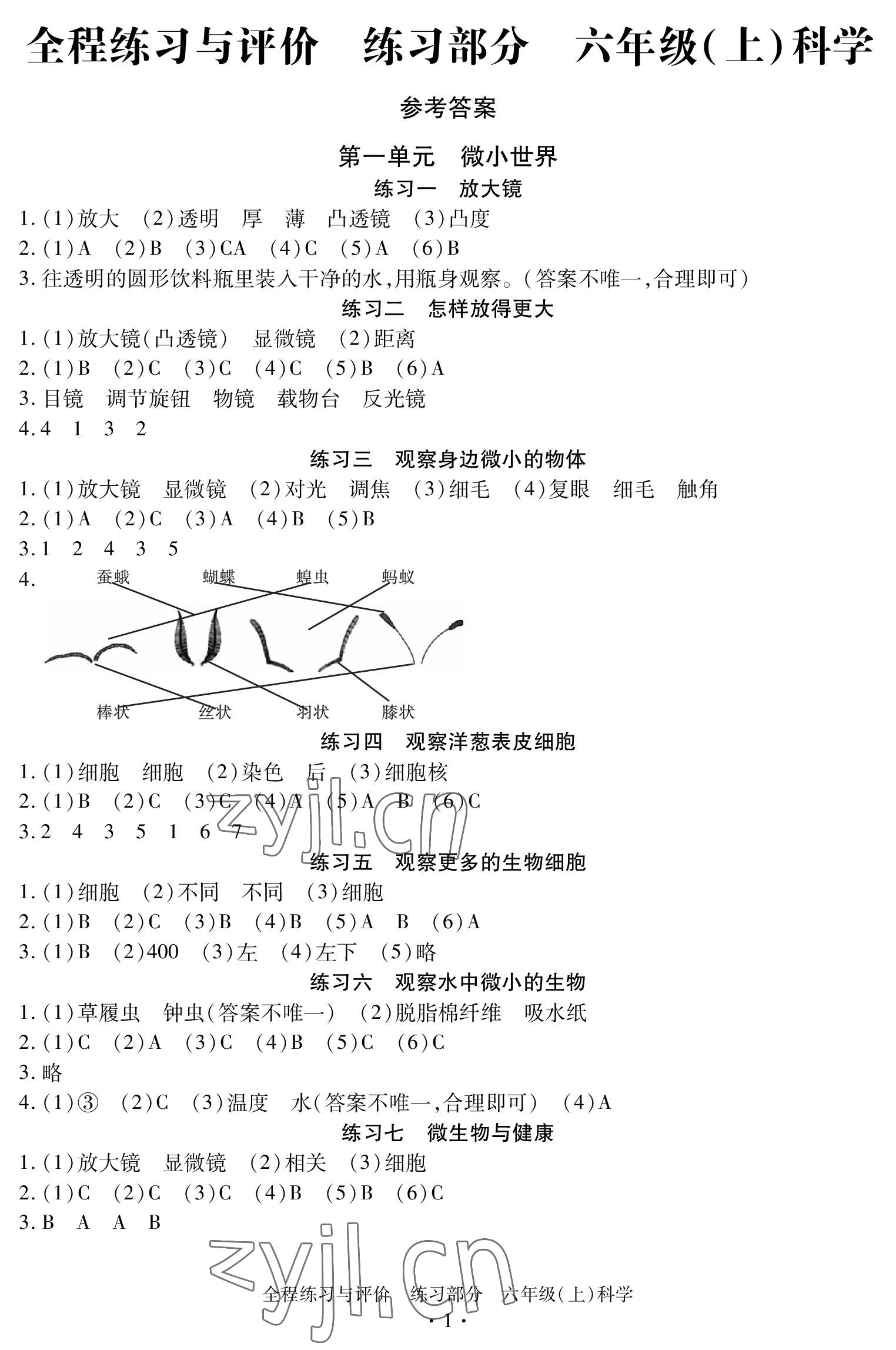 2022年全程練習與評價六年級科學上冊教科版 參考答案第1頁