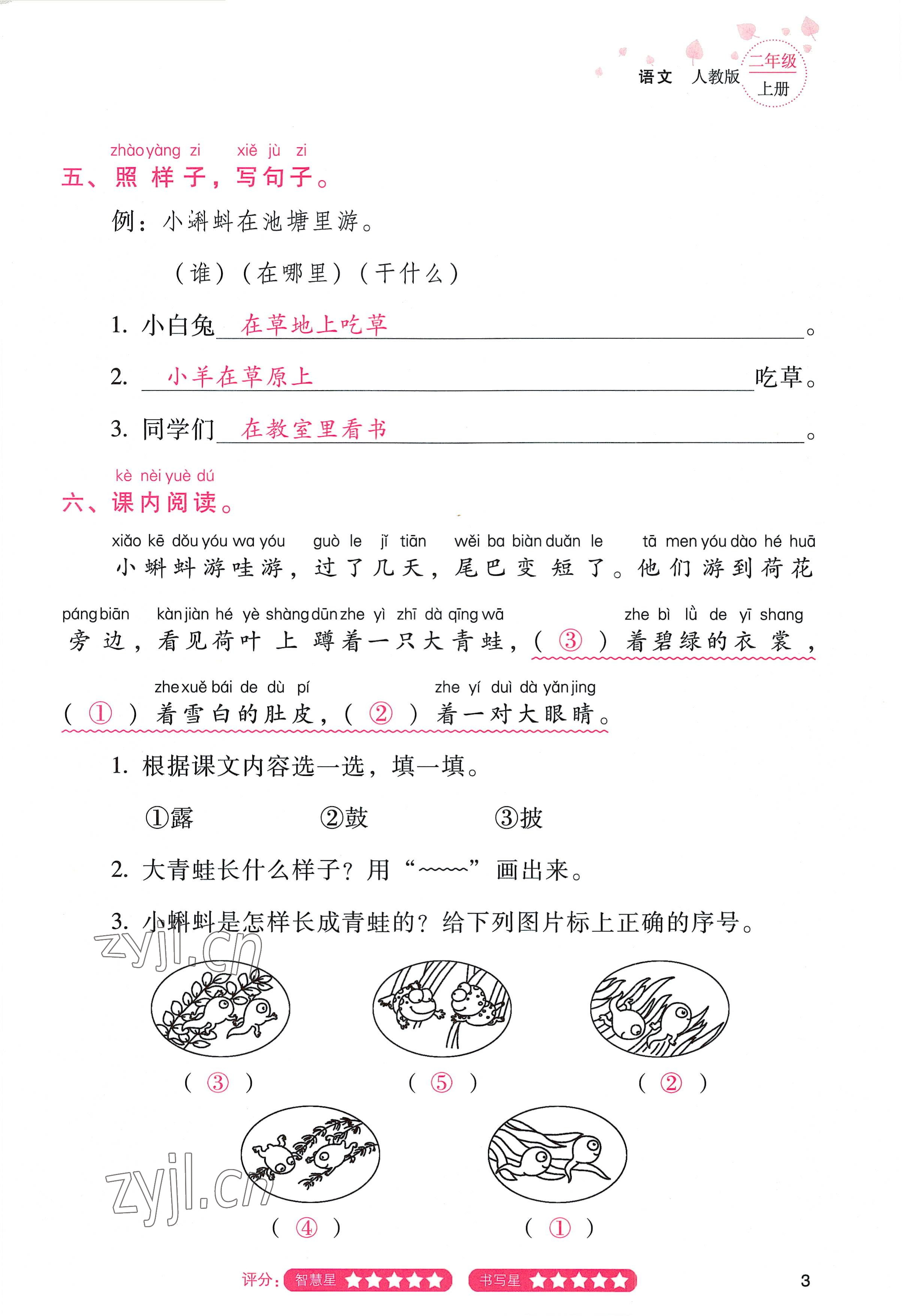 2022年云南省标准教辅同步指导训练与检测二年级语文上册人教版 参考答案第2页