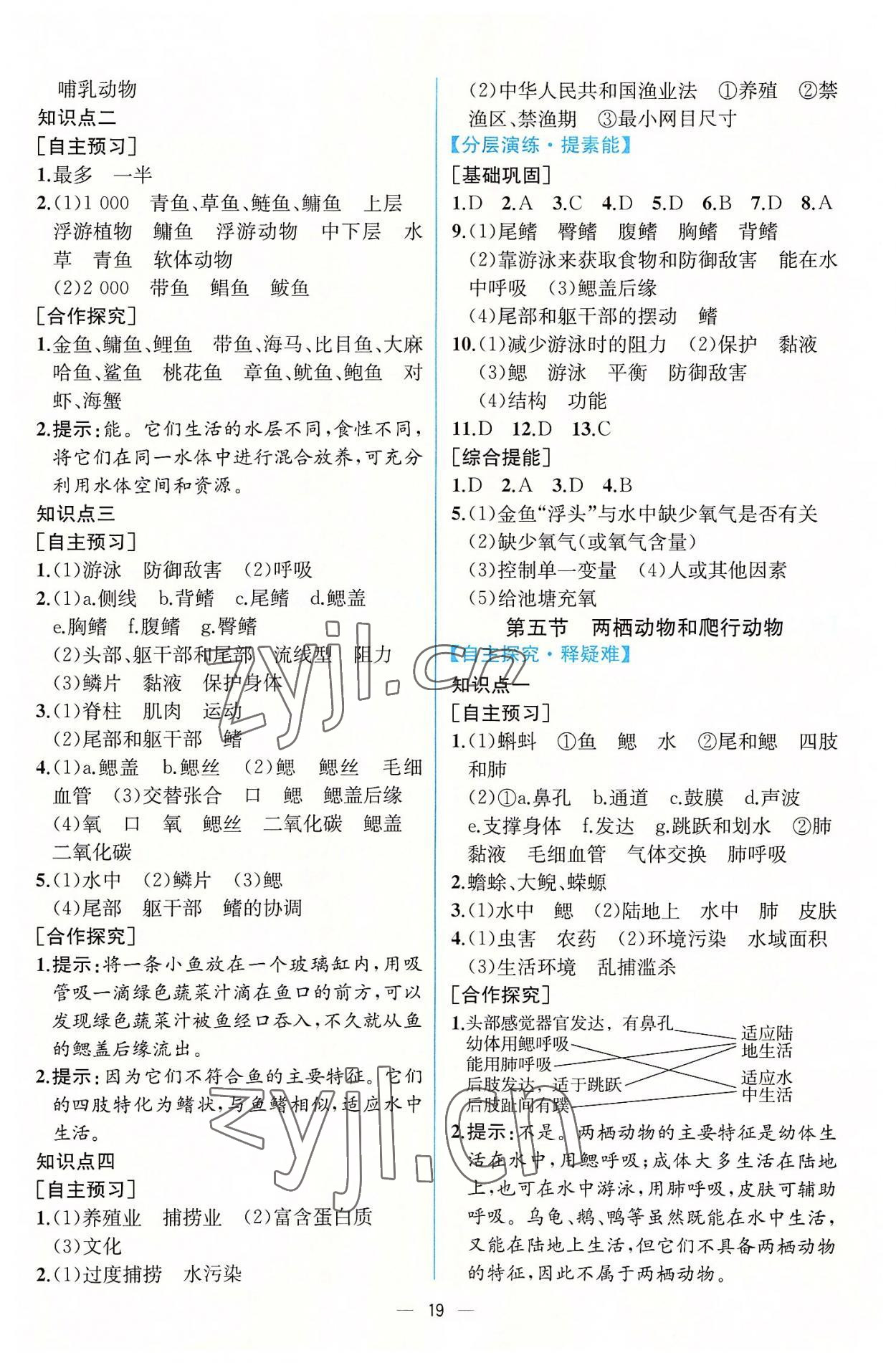 2022年同步導(dǎo)學(xué)案課時(shí)練八年級(jí)生物上冊(cè)人教版 第3頁