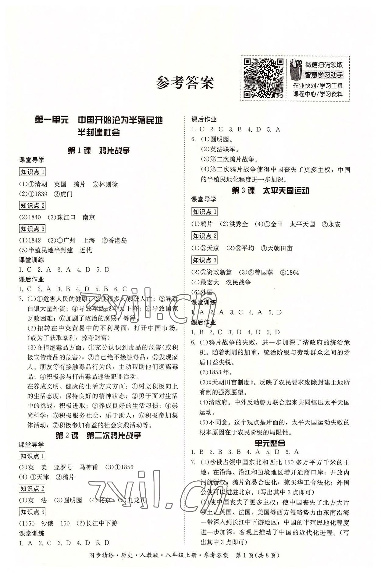 2022年同步精练八年级历史上册人教版广东人民出版社 第1页