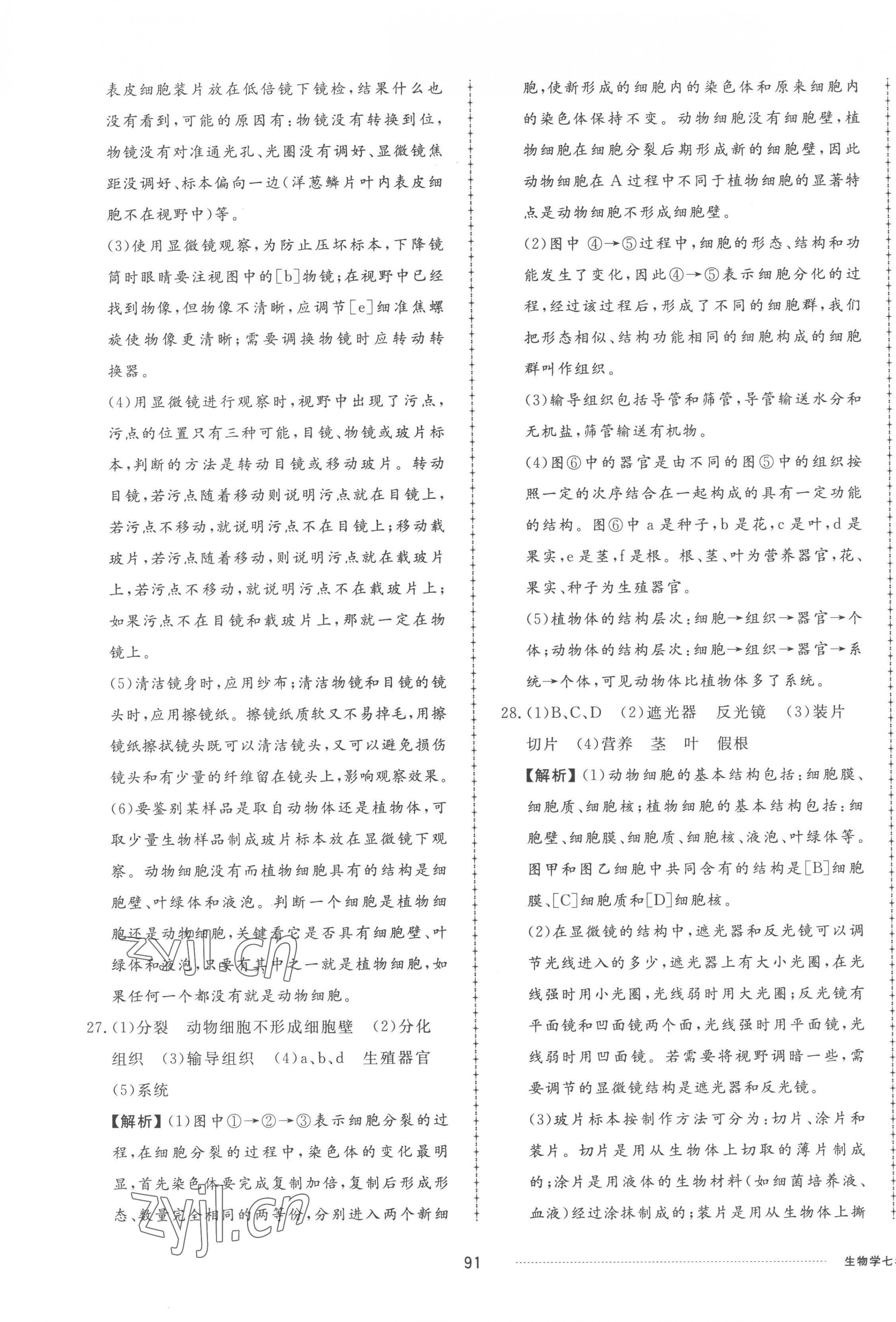 2022年同步練習(xí)冊(cè)配套單元檢測卷七年級(jí)生物上冊(cè)濟(jì)南版 參考答案第3頁