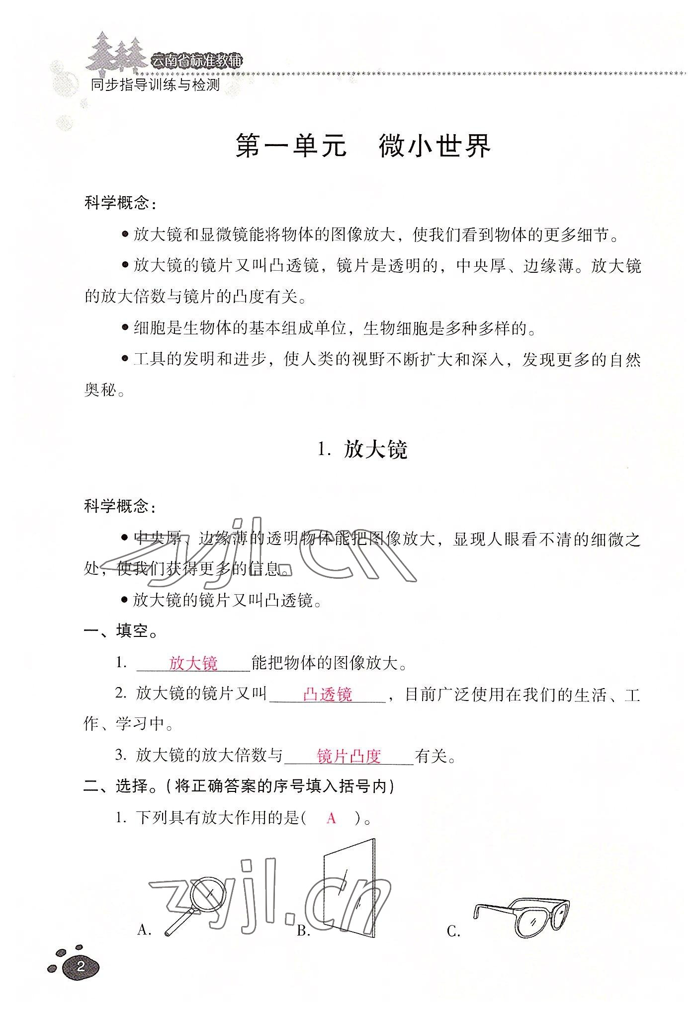 2022年云南省标准教辅同步指导训练与检测六年级科学上册教科版 参考答案第1页