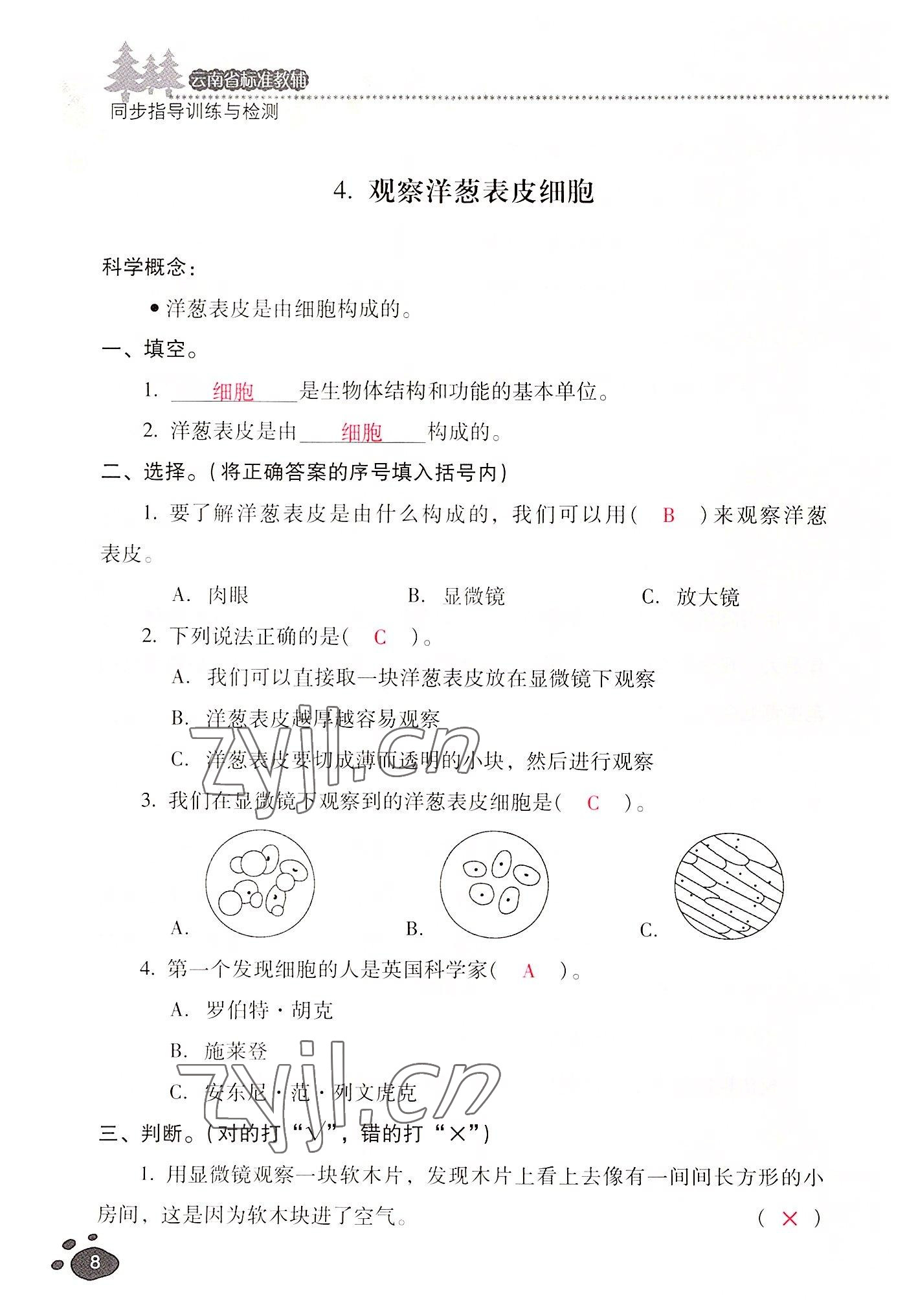 2022年云南省标准教辅同步指导训练与检测六年级科学上册教科版 参考答案第7页