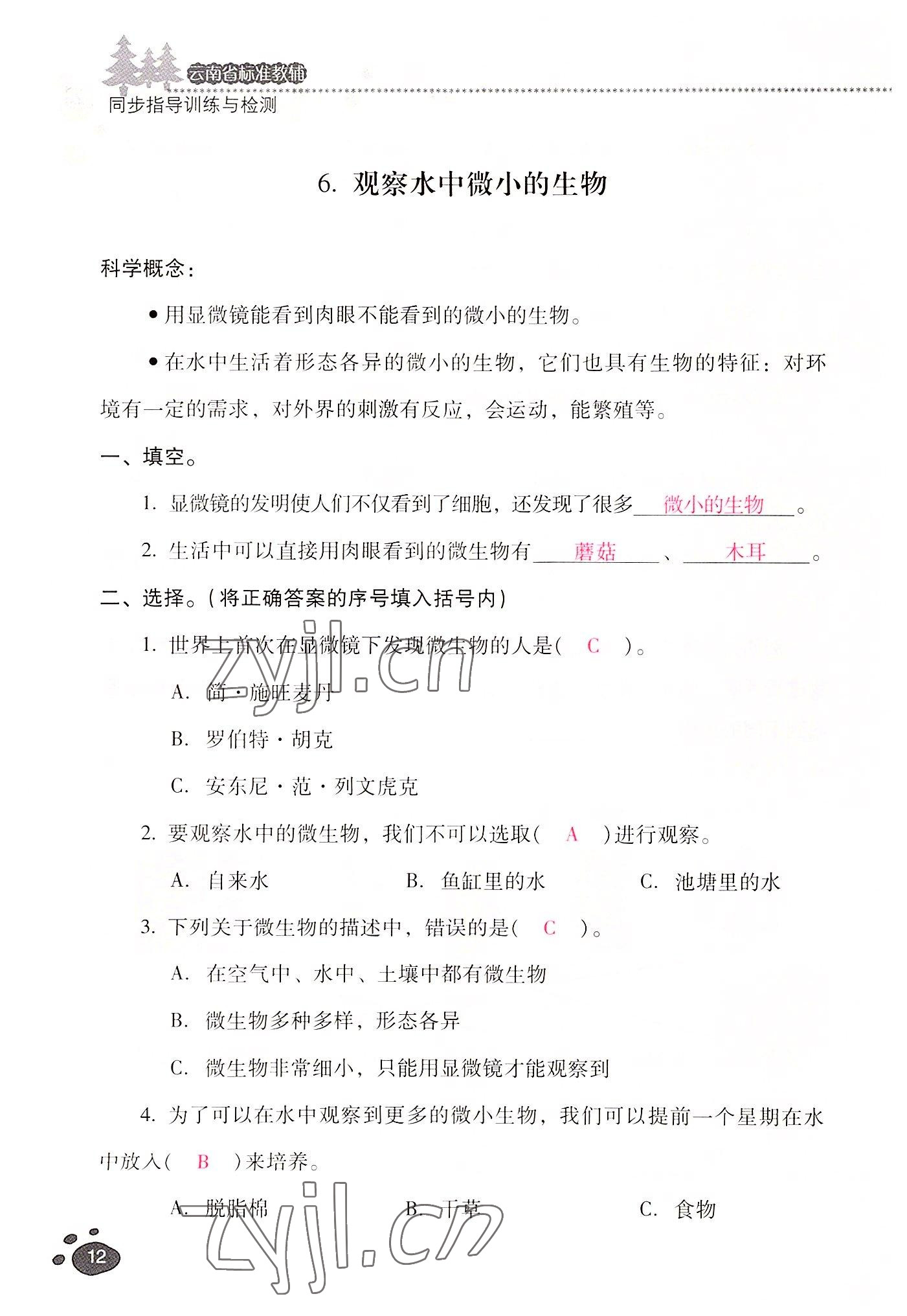 2022年云南省标准教辅同步指导训练与检测六年级科学上册教科版 参考答案第11页