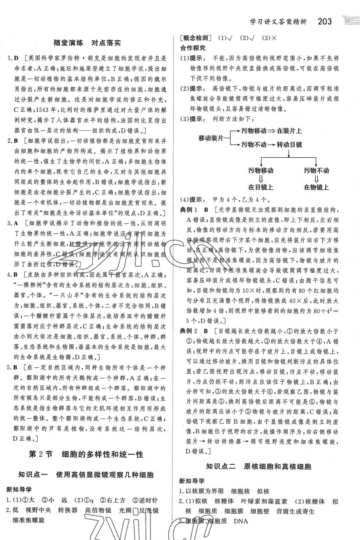 2022年金版新学案高中生物必修1人教版 参考答案第2页