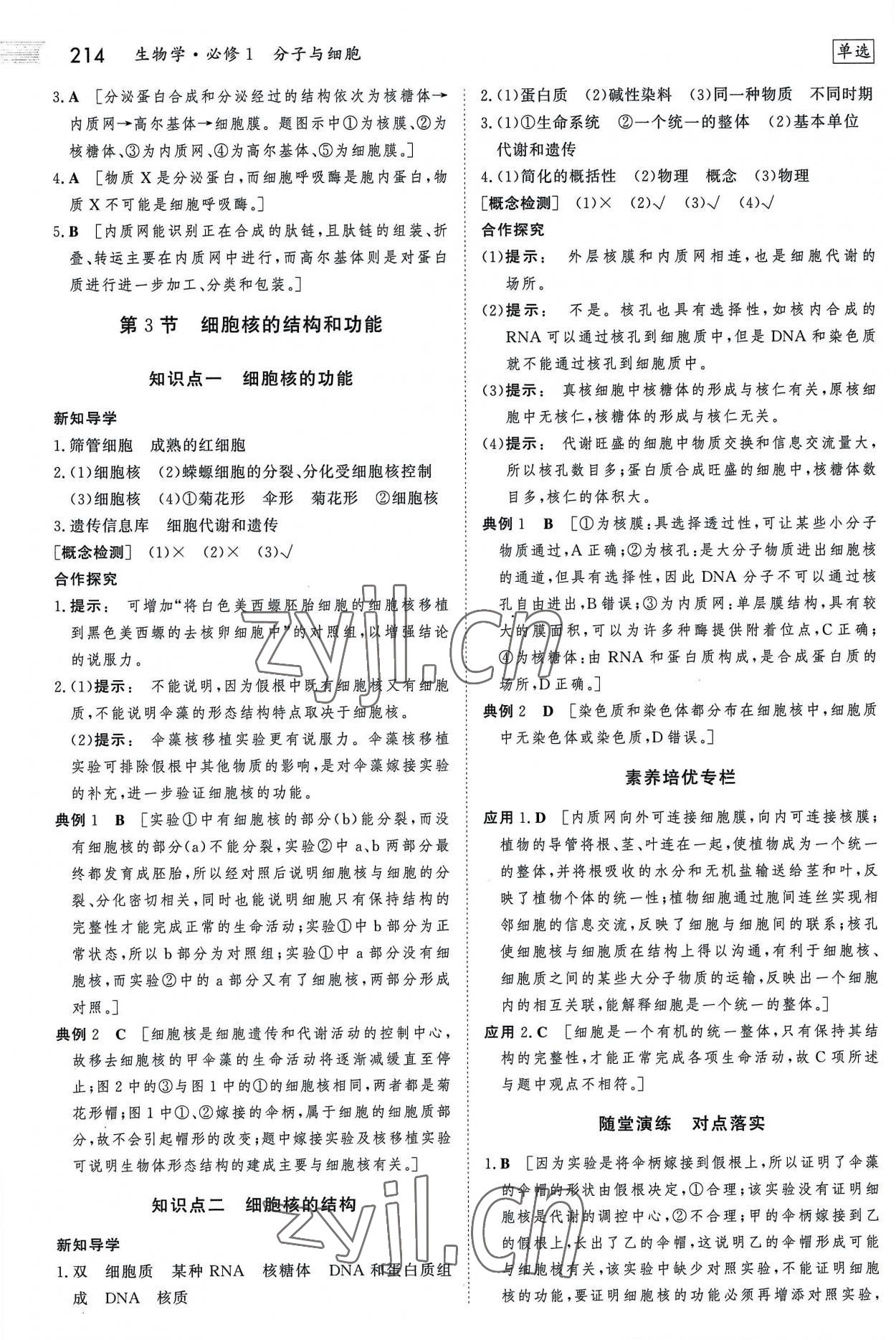 2022年金版新学案高中生物必修1人教版 参考答案第13页