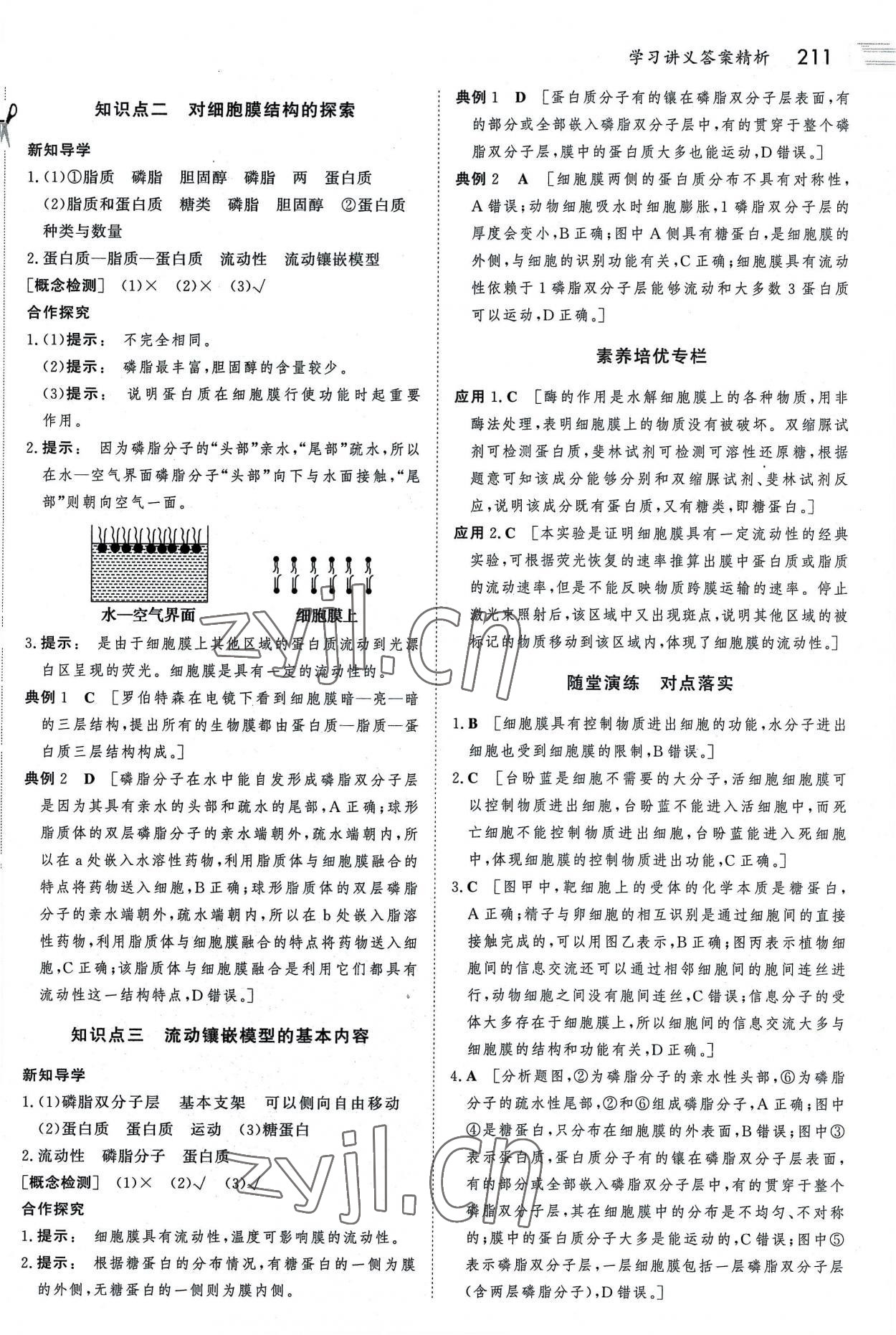 2022年金版新学案高中生物必修1人教版 参考答案第10页