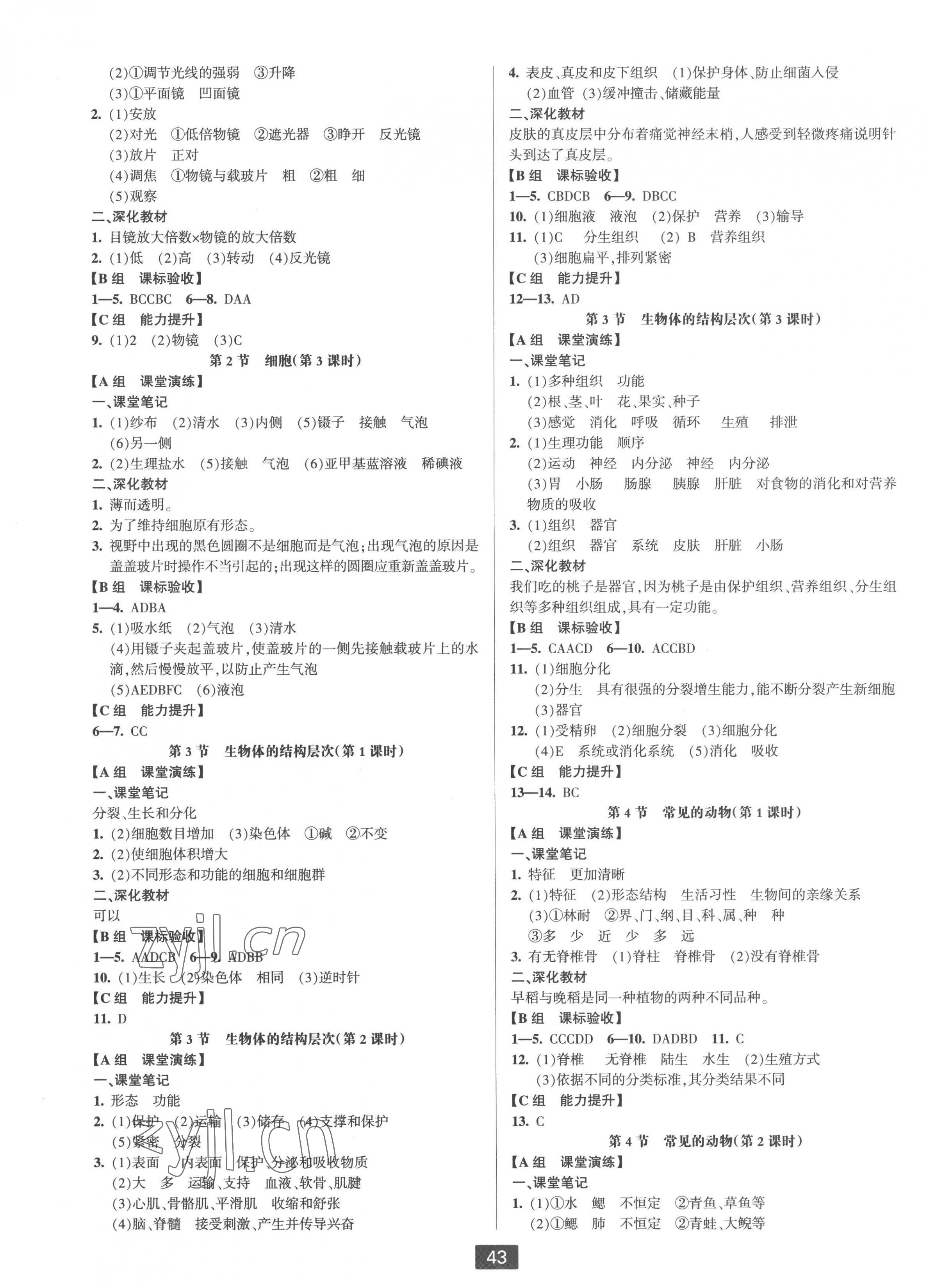 2022年双减新课堂七年级科学上册浙教版 第3页