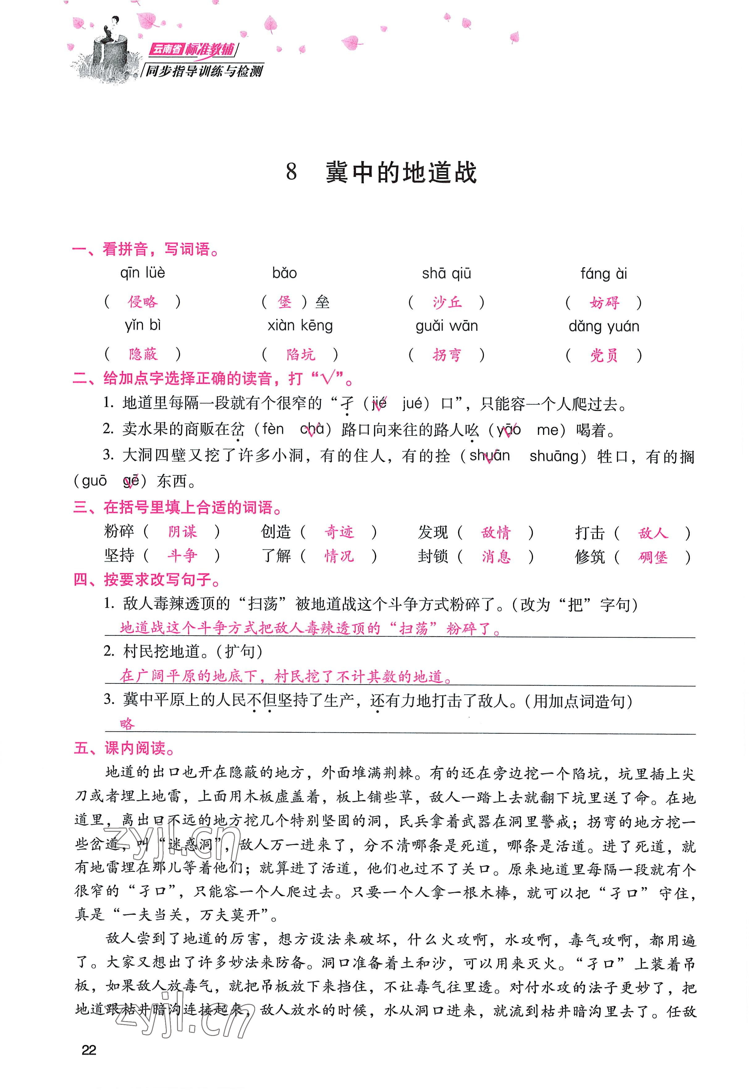 2022年云南省标准教辅同步指导训练与检测五年级语文上册人教版 参考答案第21页
