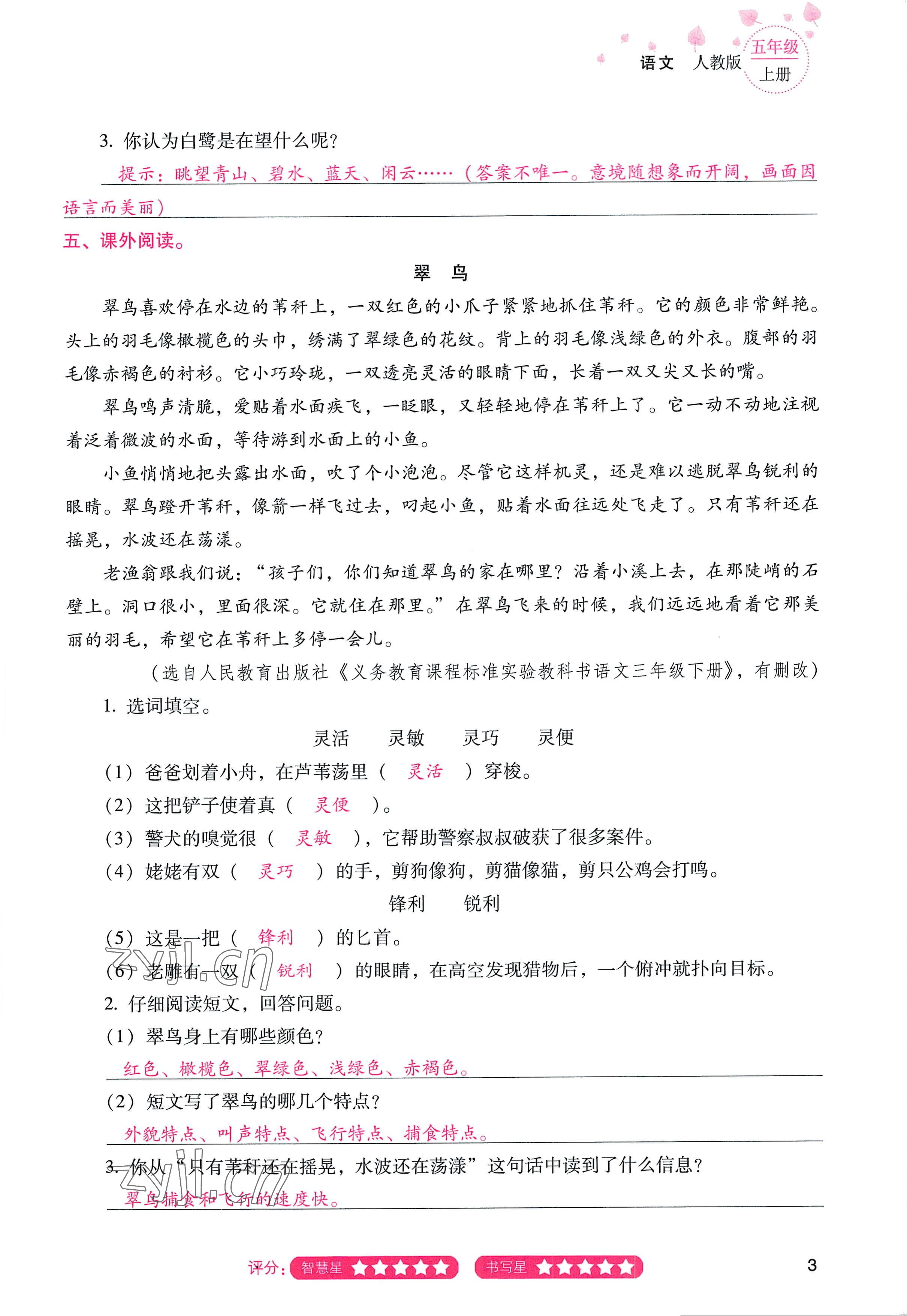 2022年云南省标准教辅同步指导训练与检测五年级语文上册人教版 参考答案第2页