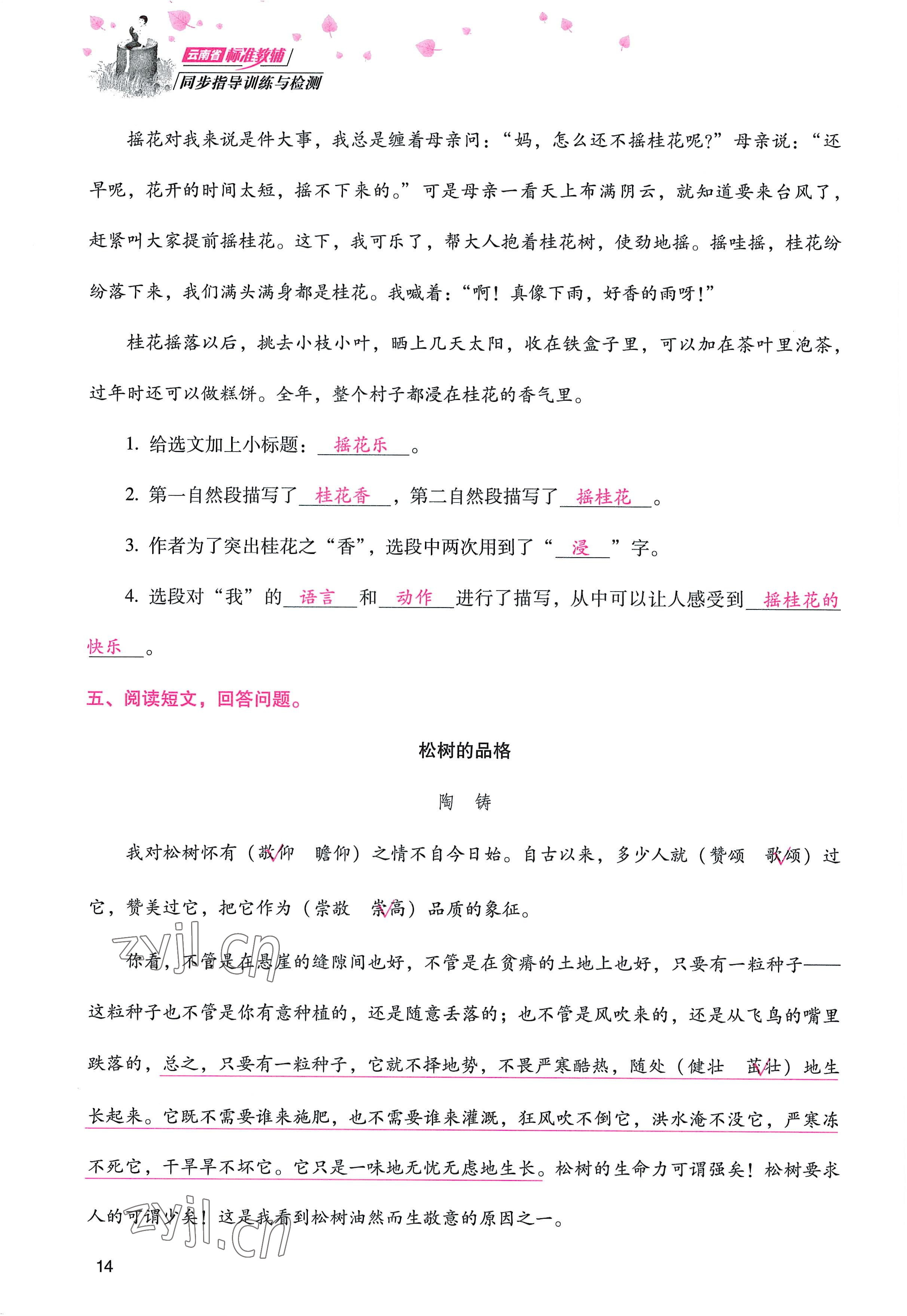 2022年云南省标准教辅同步指导训练与检测五年级语文上册人教版 参考答案第13页