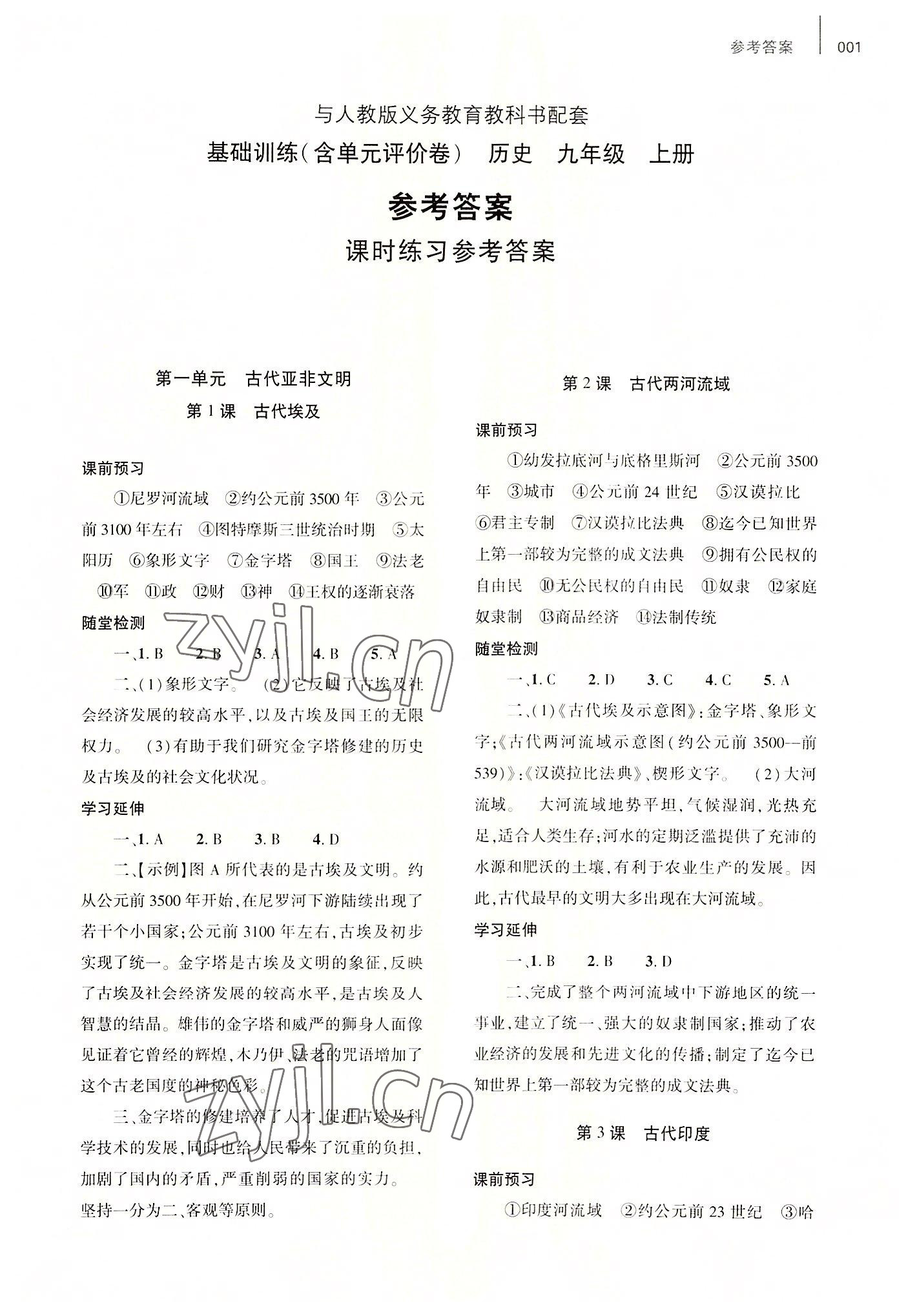 2022年基礎(chǔ)訓(xùn)練九年級歷史上冊人教版大象出版社 第1頁