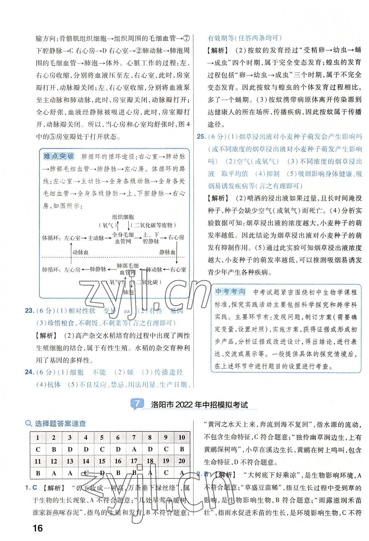 2023年金考卷45套匯編生物河南專版 參考答案第16頁