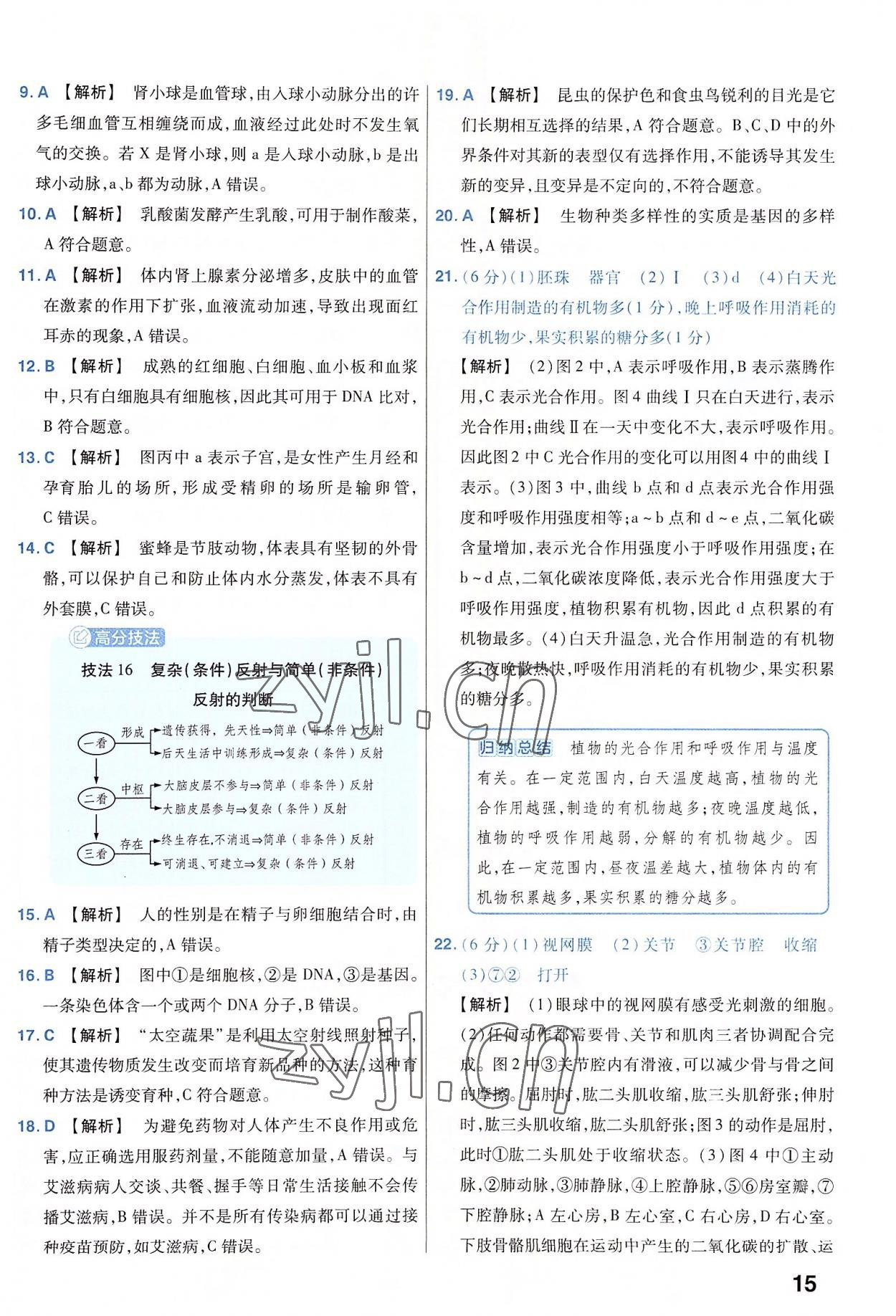 2023年金考卷45套匯編生物河南專版 參考答案第15頁