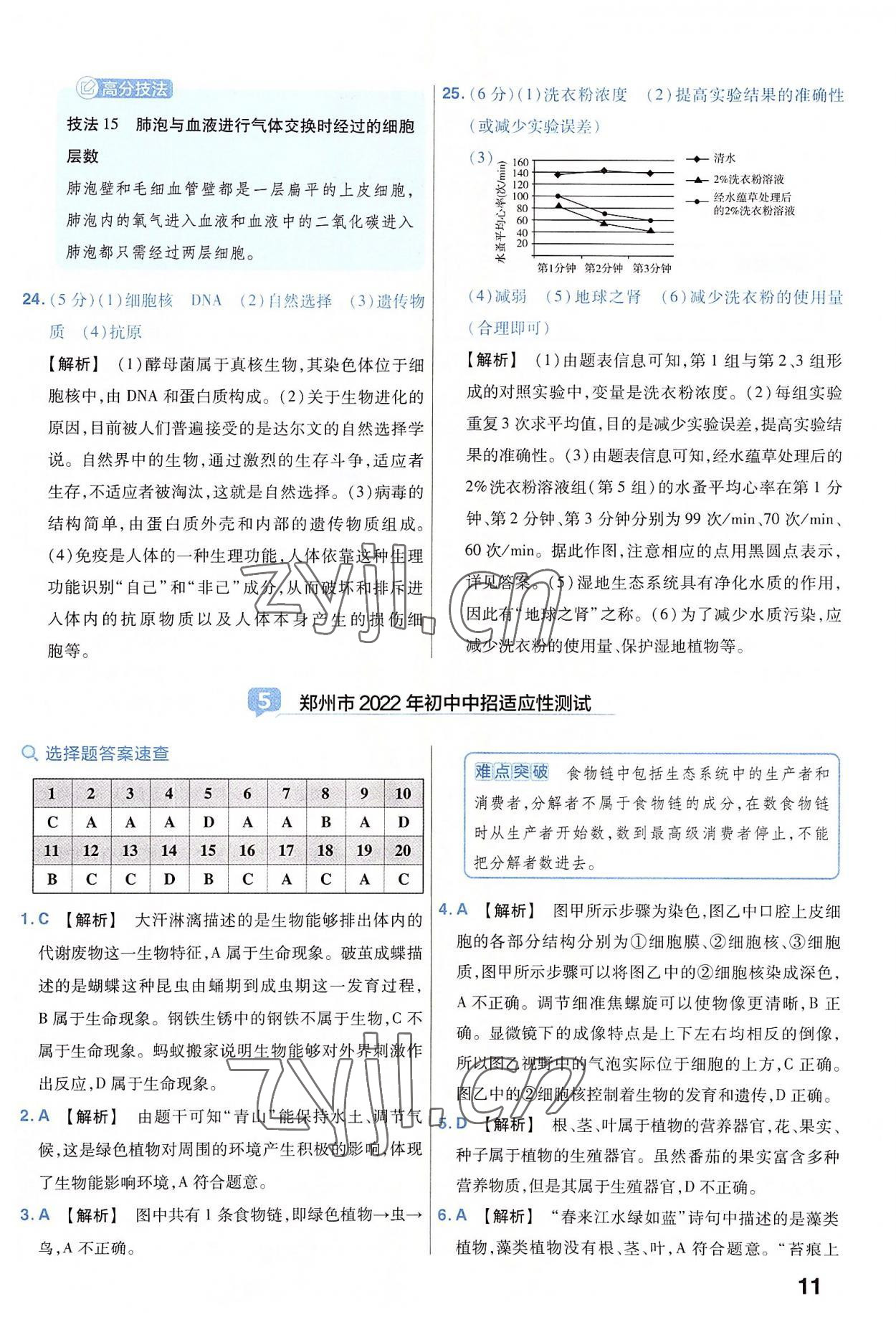 2023年金考卷45套匯編生物河南專版 參考答案第11頁