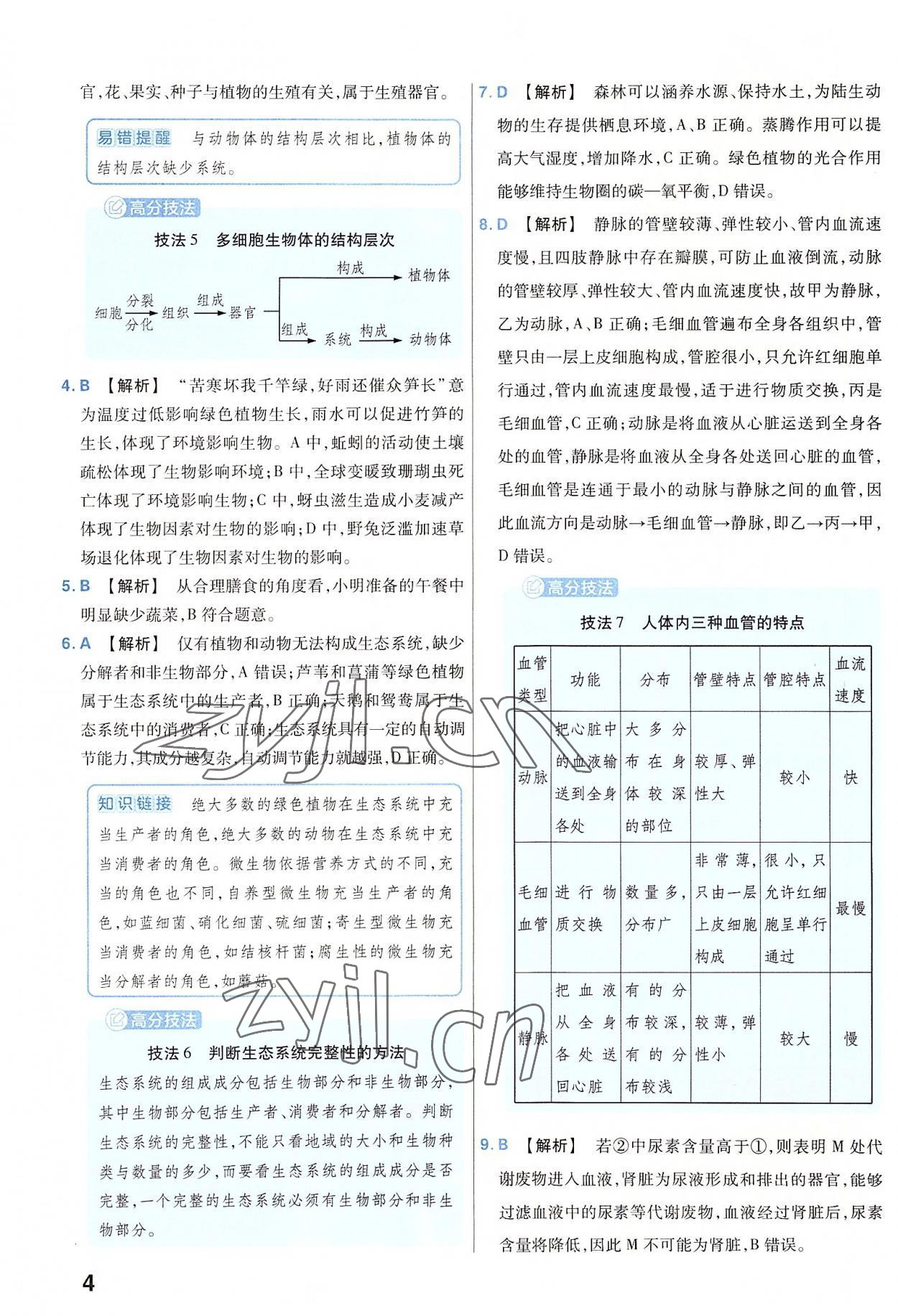 2023年金考卷45套匯編生物河南專版 參考答案第4頁(yè)