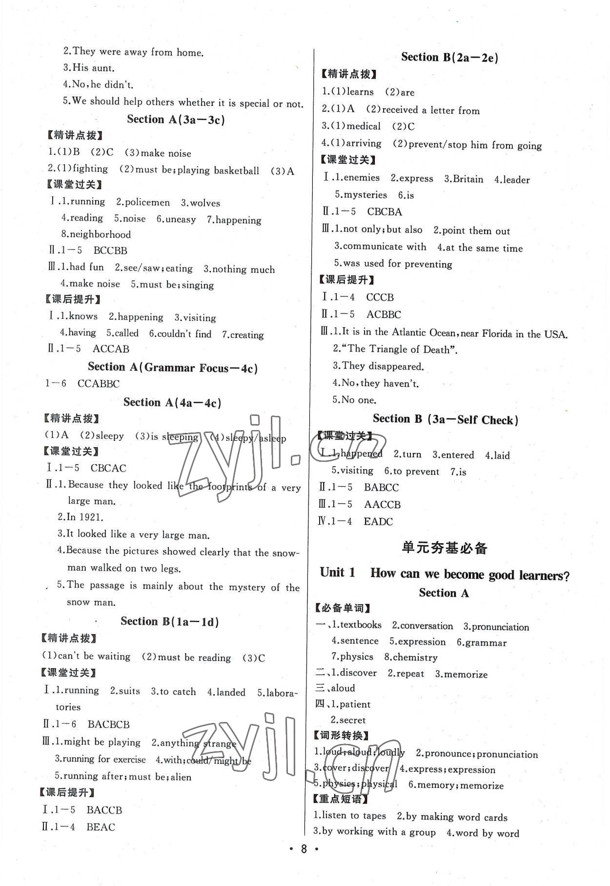 2022年初中新课标名师学案智慧大课堂九年级英语上册人教版 第8页