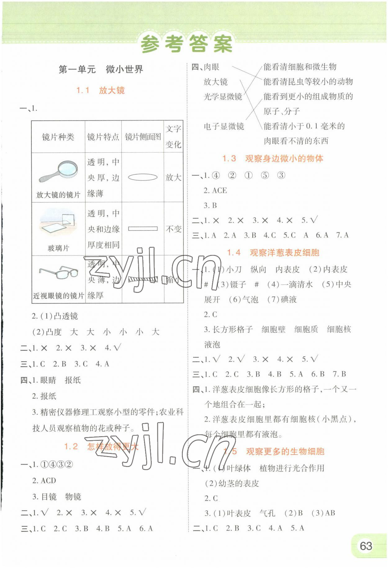 2022年黃岡同步練一日一練六年級科學(xué)上冊教科版 參考答案第1頁