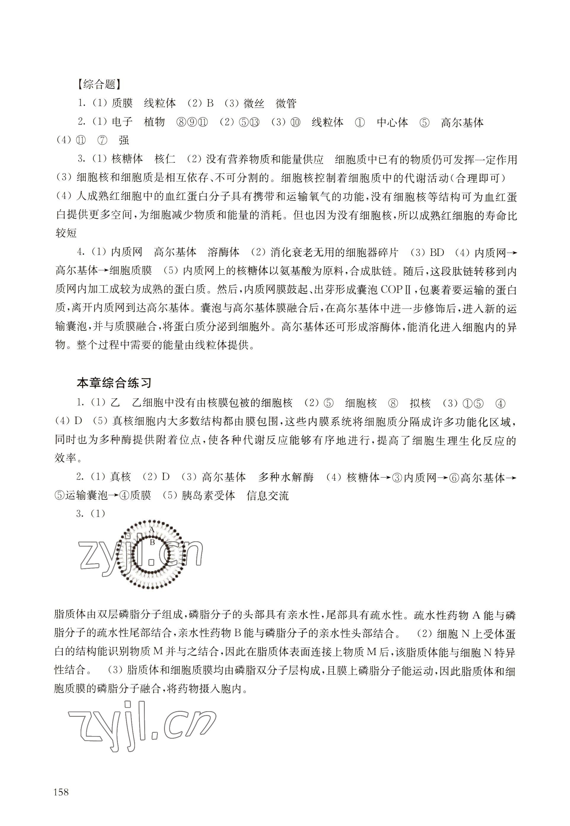 2022年練習(xí)部分高中生物必修1滬科版 參考答案第4頁(yè)