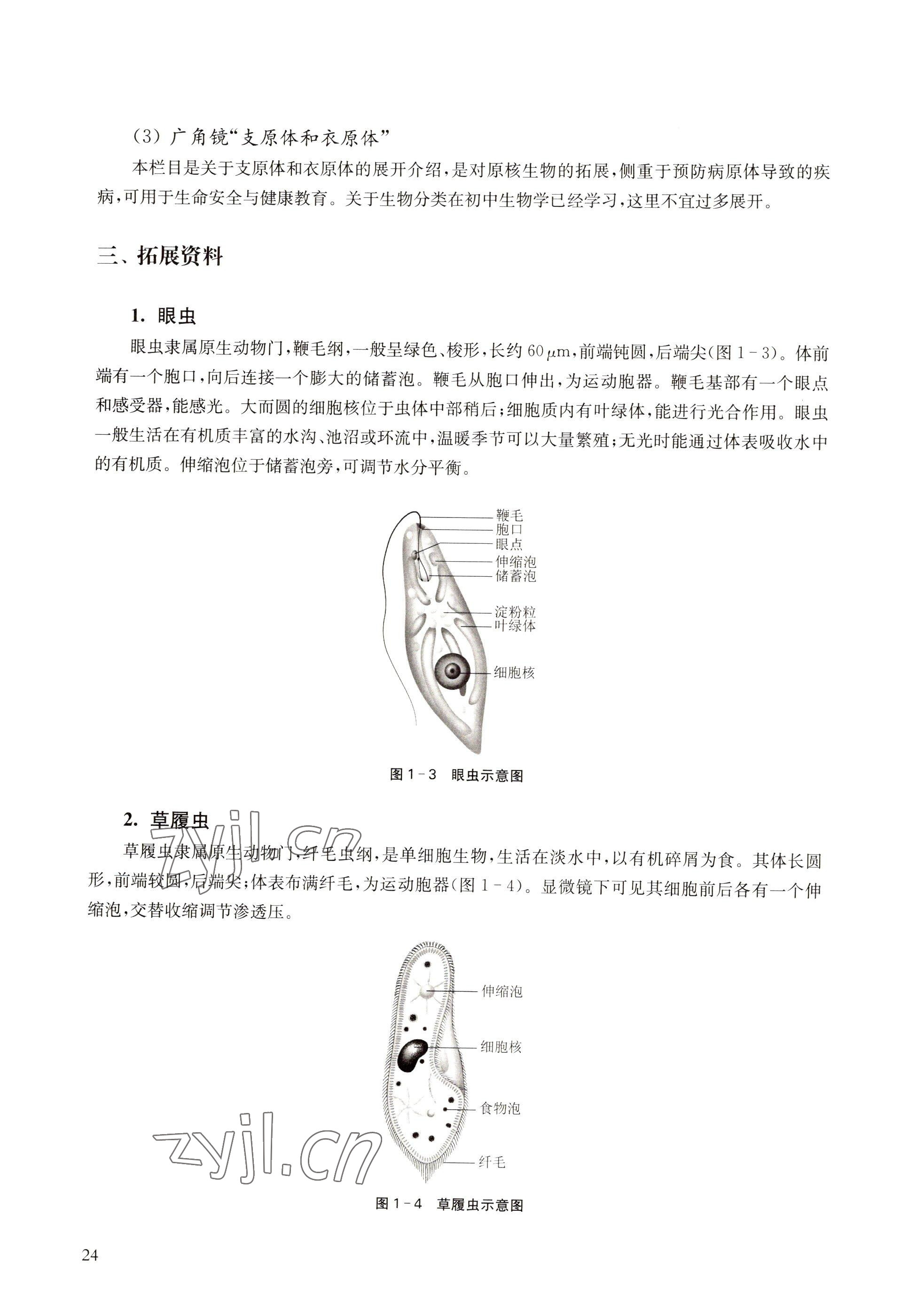 2022年教材课本高中生物必修1分子与细胞沪教版 参考答案第16页