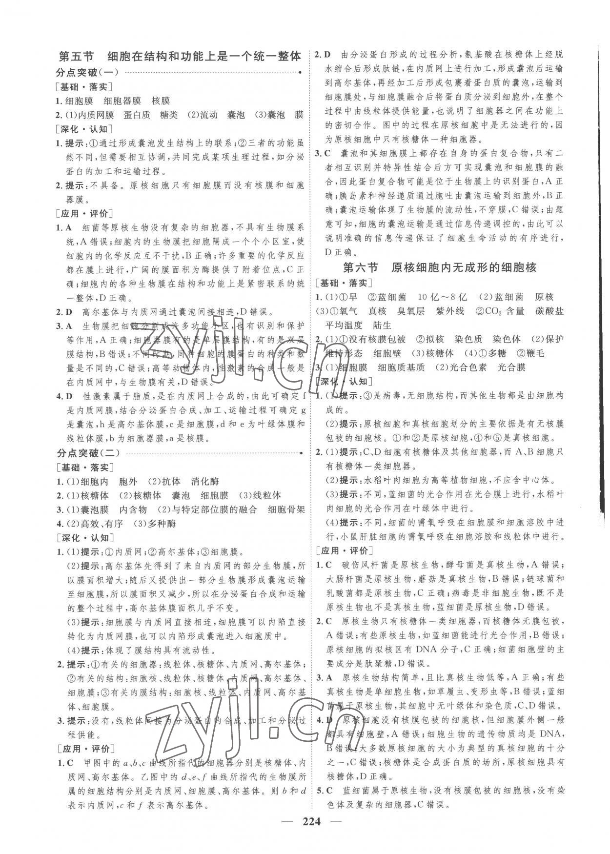 2022年三維設(shè)計(jì)高中生物必修1浙科版 參考答案第8頁