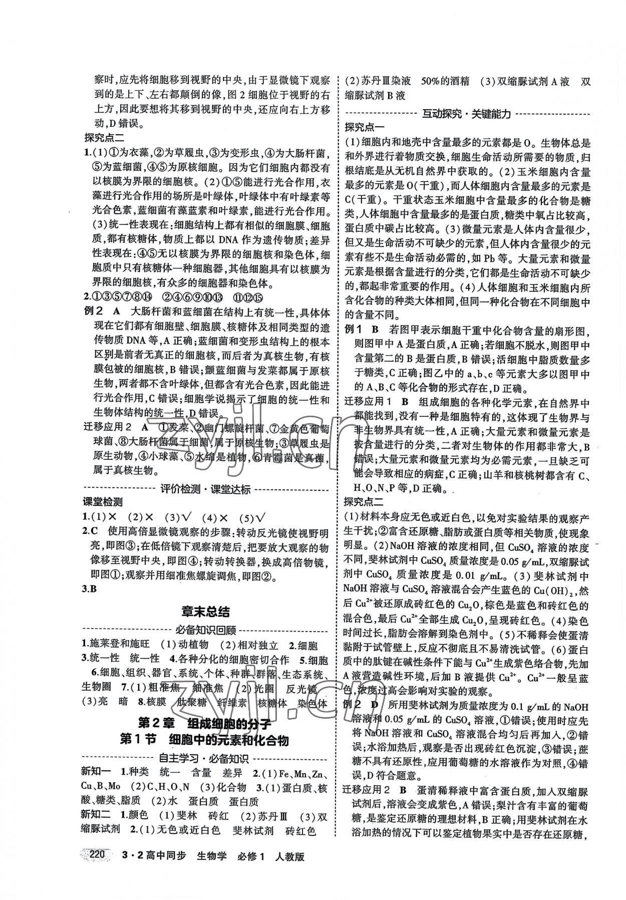 2022年3年高考2年模擬高中生物必修1人教版 第2頁