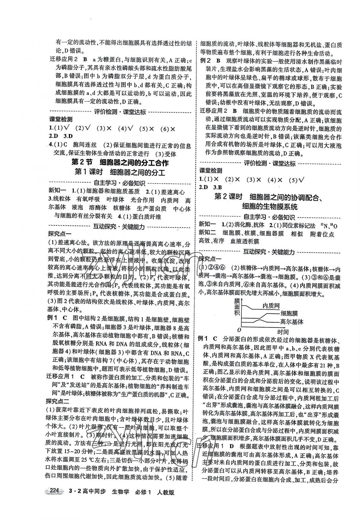 2022年3年高考2年模擬高中生物必修1人教版 第6頁(yè)