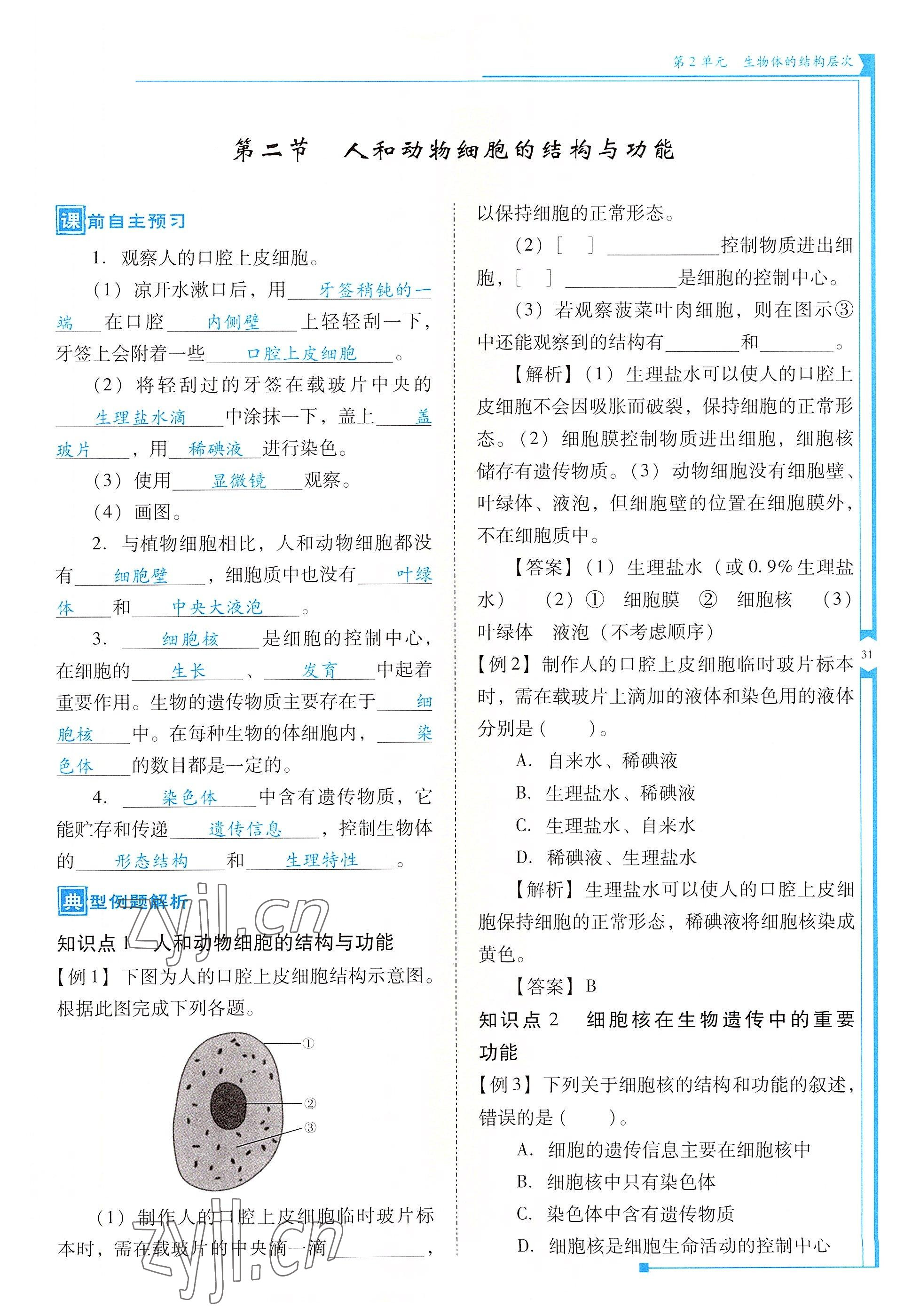 2022年云南省标准教辅优佳学案七年级生物上册苏教版 参考答案第31页
