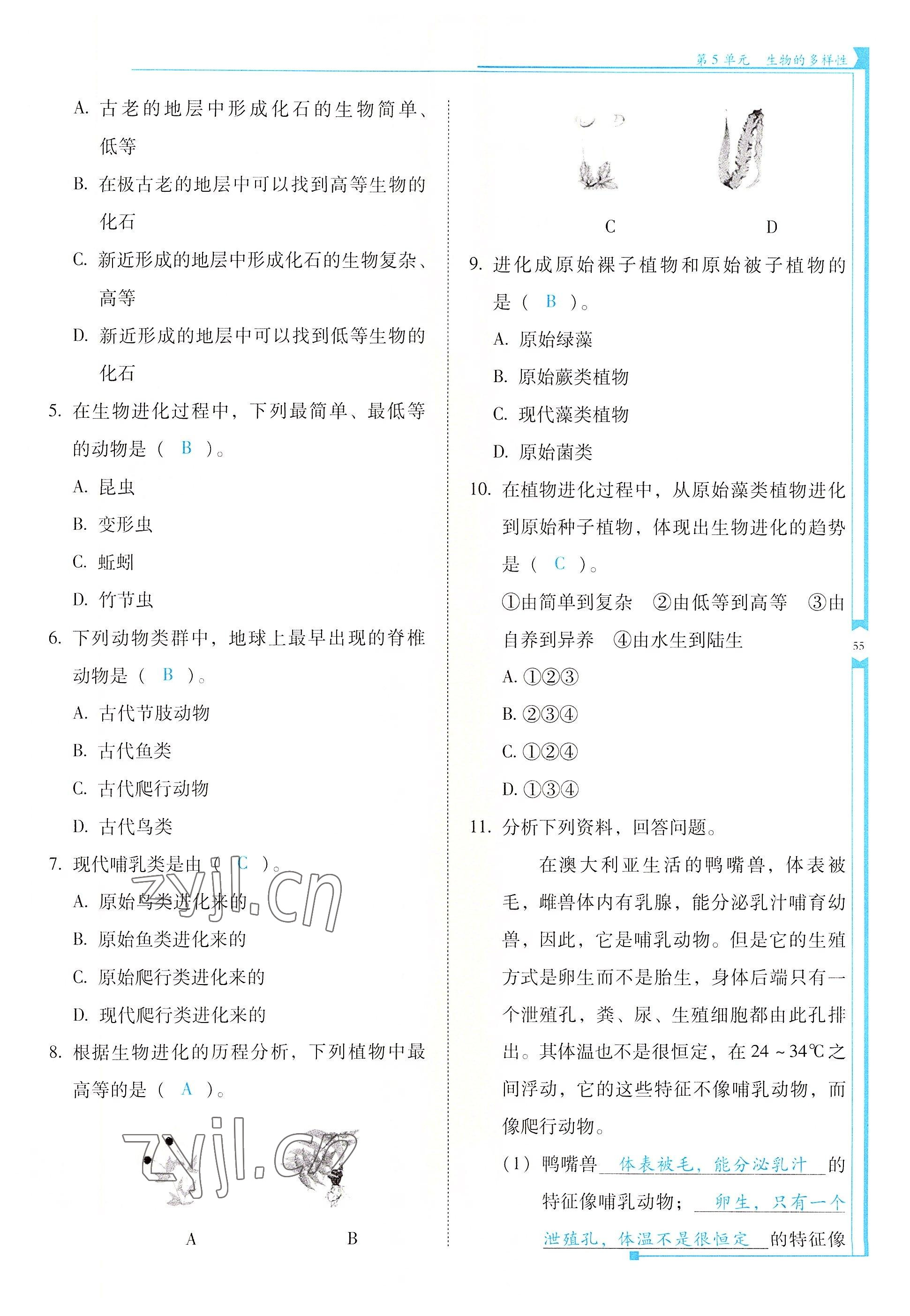 2022年云南省标准教辅优佳学案八年级生物全一册苏教版 参考答案第55页