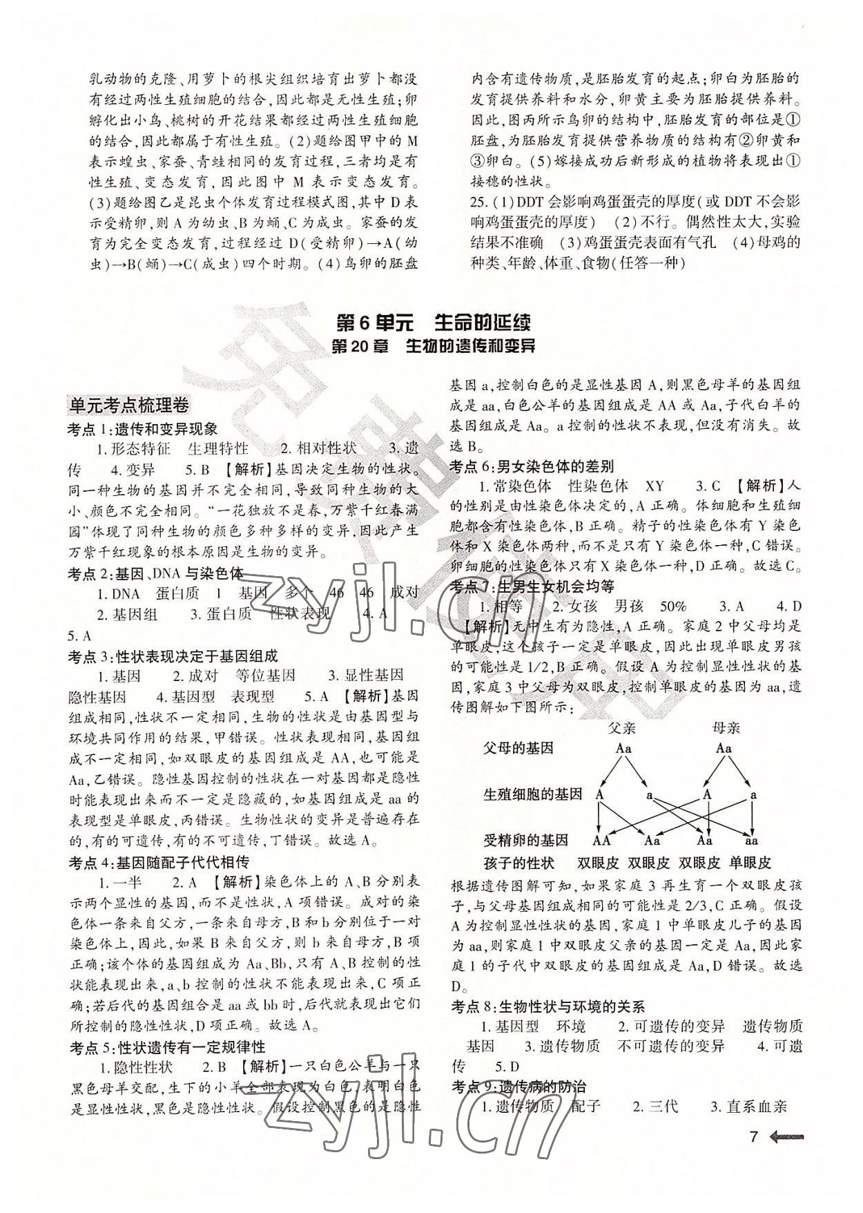 2022年节节高大象出版社八年级生物全一册北师大版 第7页