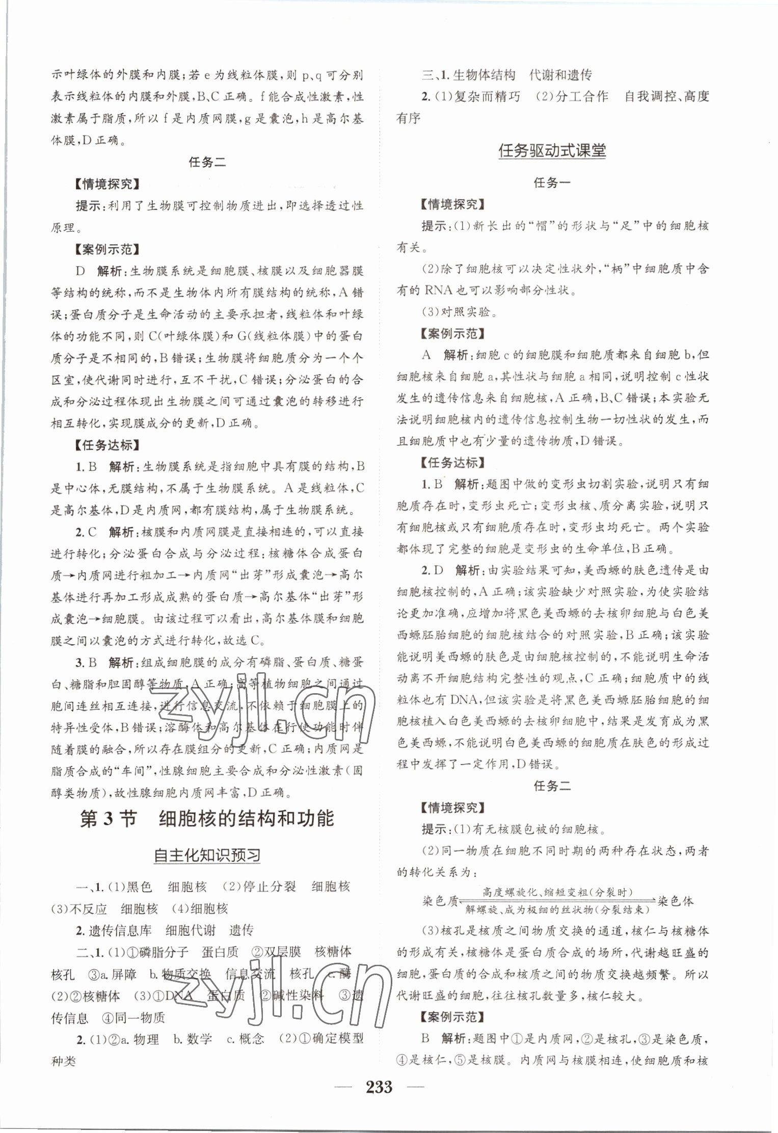 2022年长江作业本同步练习册高中生物必修1人教版 参考答案第11页