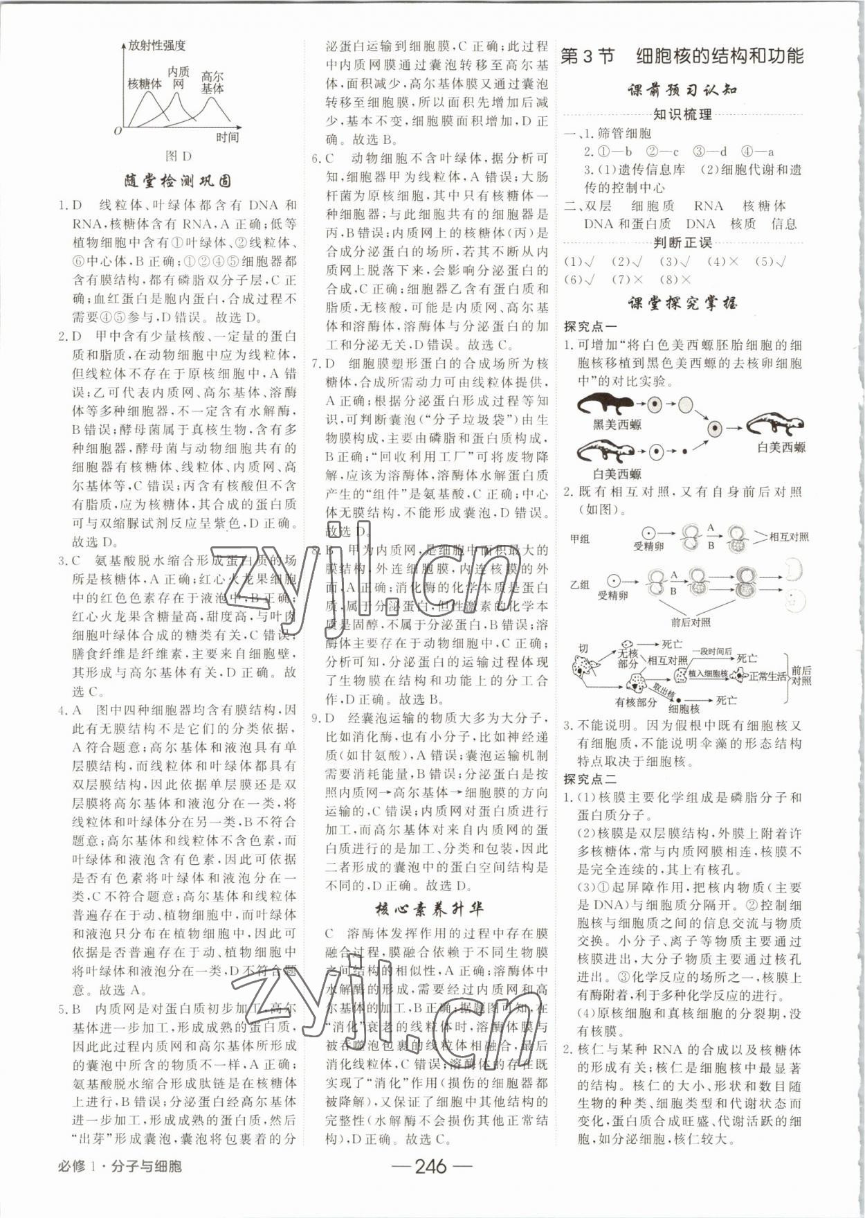 2022年红对勾讲与练高中生物必修1分子与细胞人教版 参考答案第10页