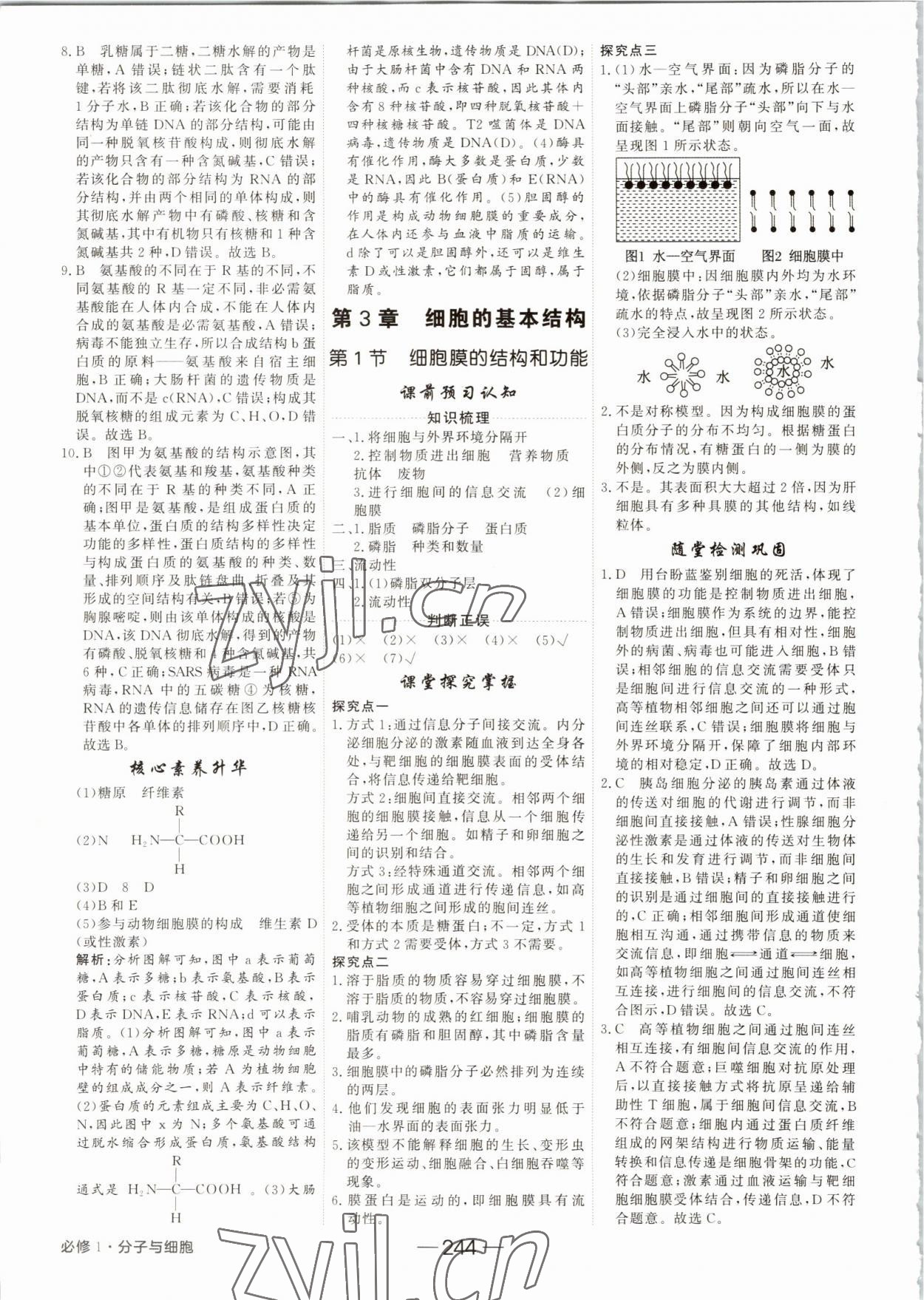 2022年红对勾讲与练高中生物必修1分子与细胞人教版 参考答案第8页