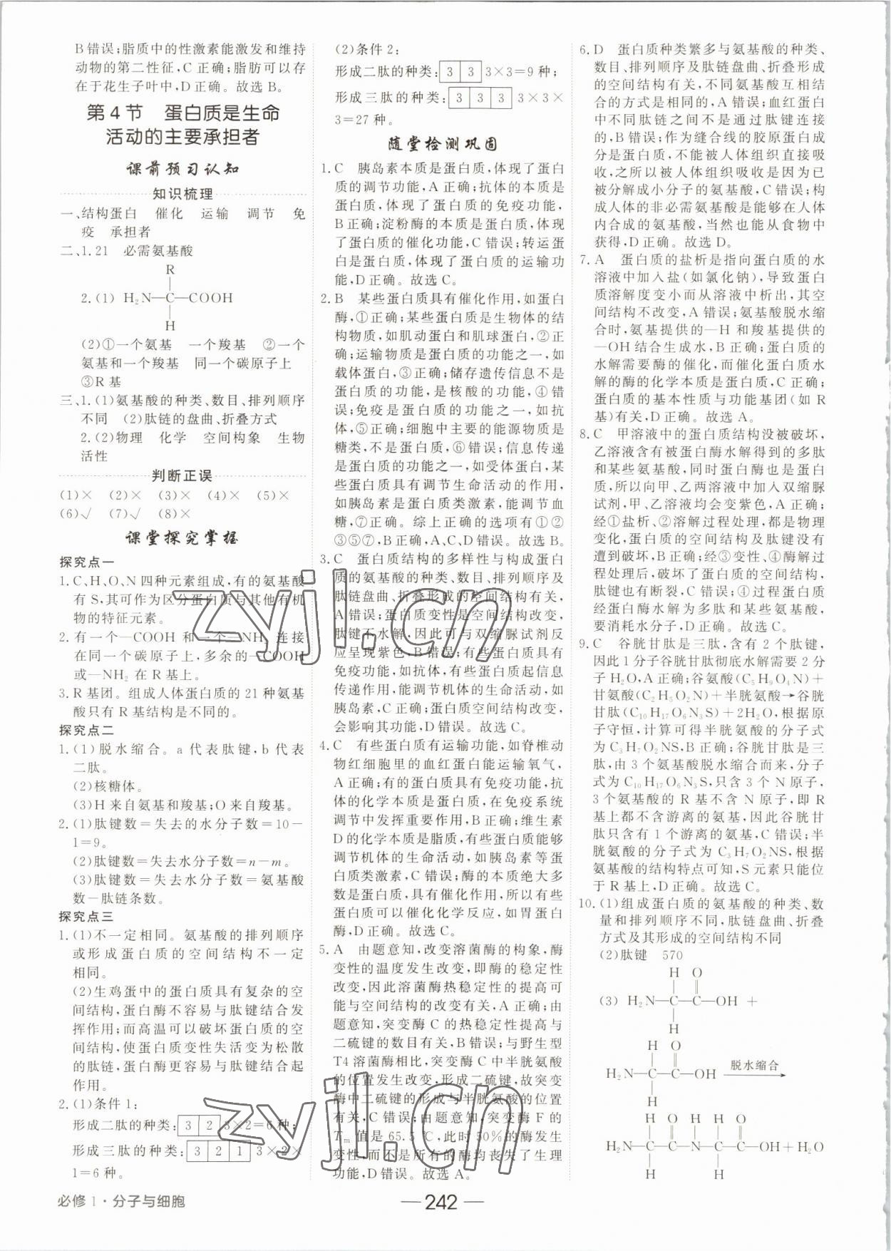 2022年红对勾讲与练高中生物必修1分子与细胞人教版 参考答案第6页