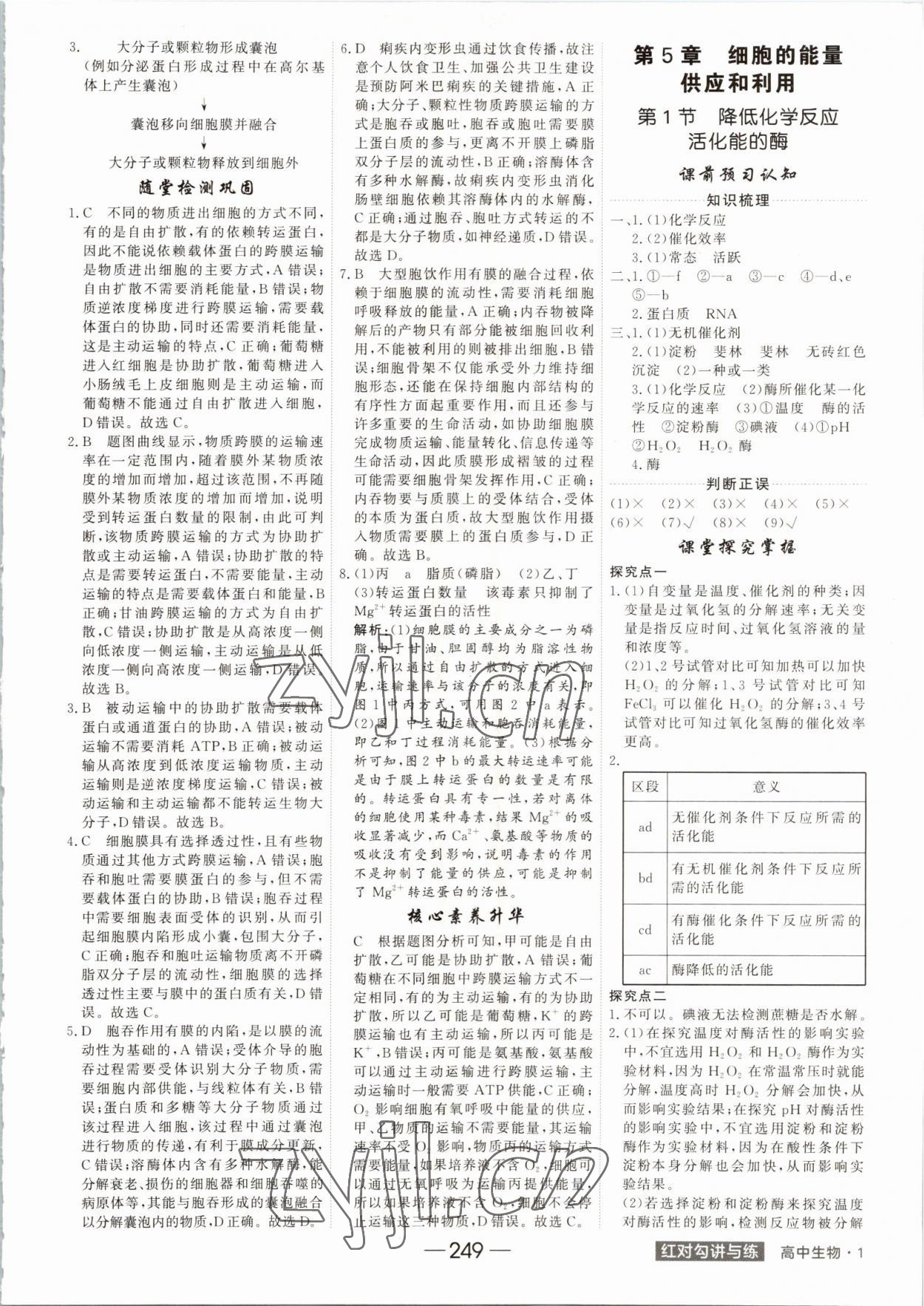 2022年红对勾讲与练高中生物必修1分子与细胞人教版 参考答案第13页