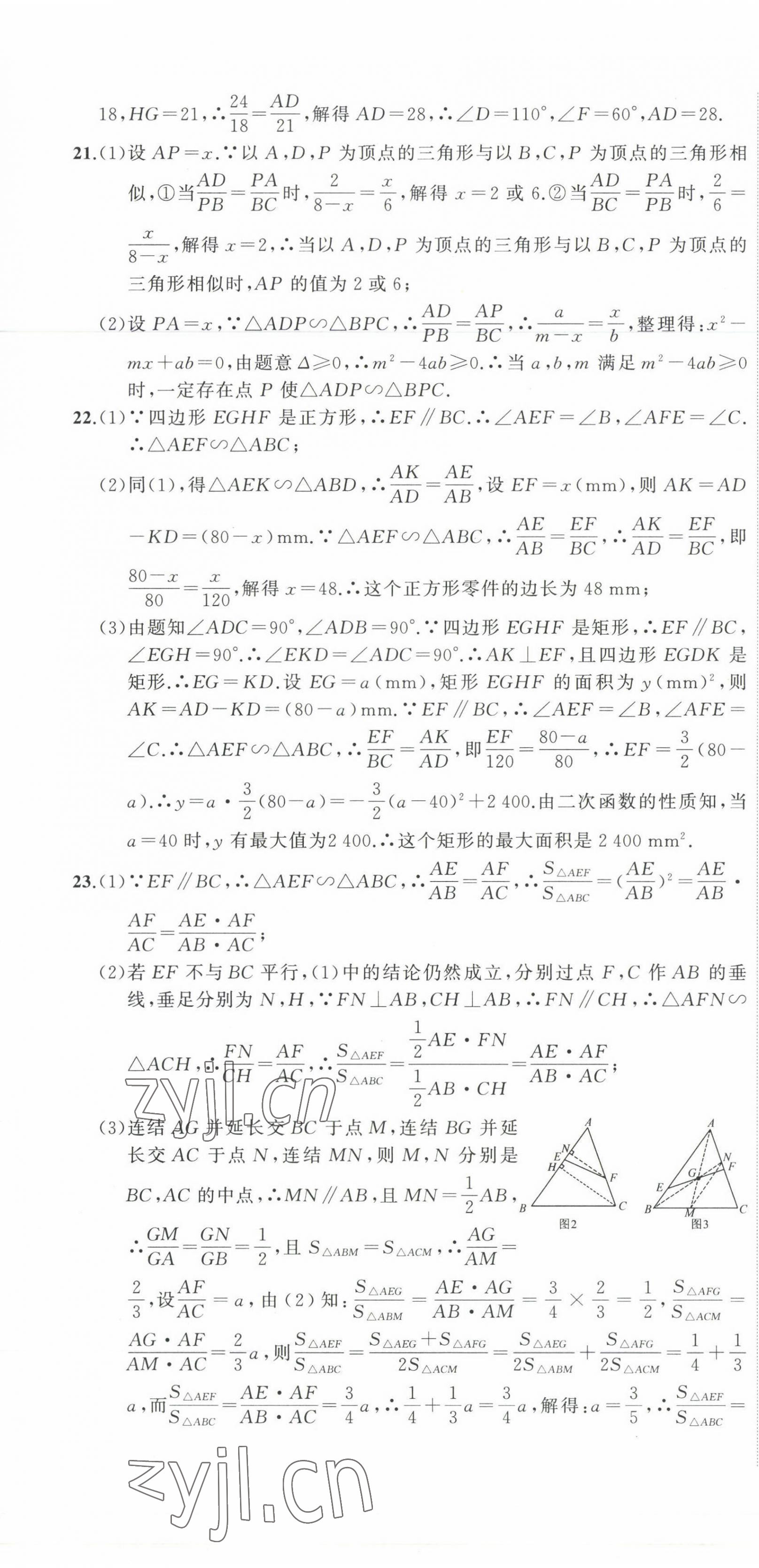 2022年全能卷王單元測試卷九年級數學全一冊浙教版 第13頁