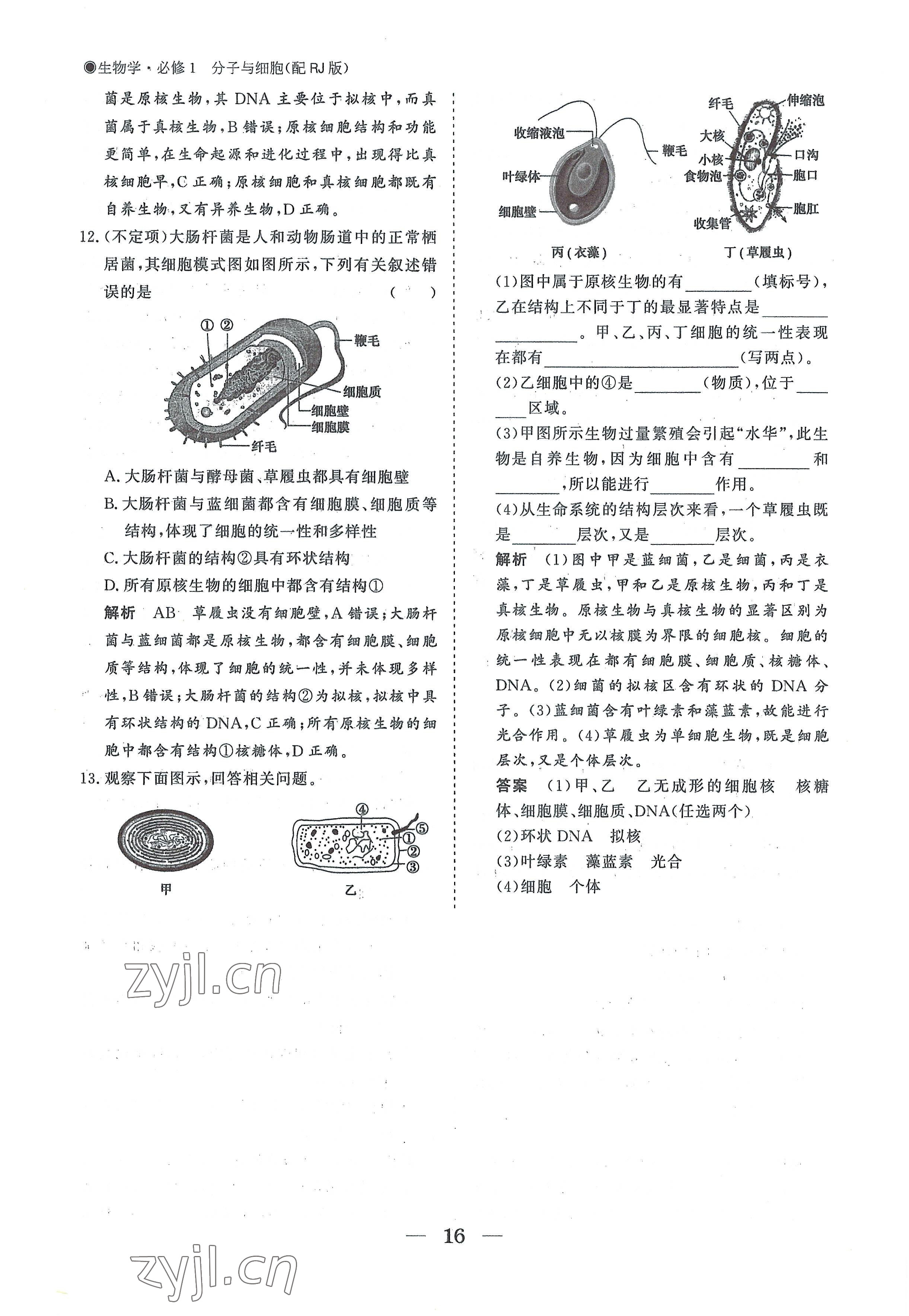 2022年高中导学测控优化设计方案高中生物必修1人教版 参考答案第16页