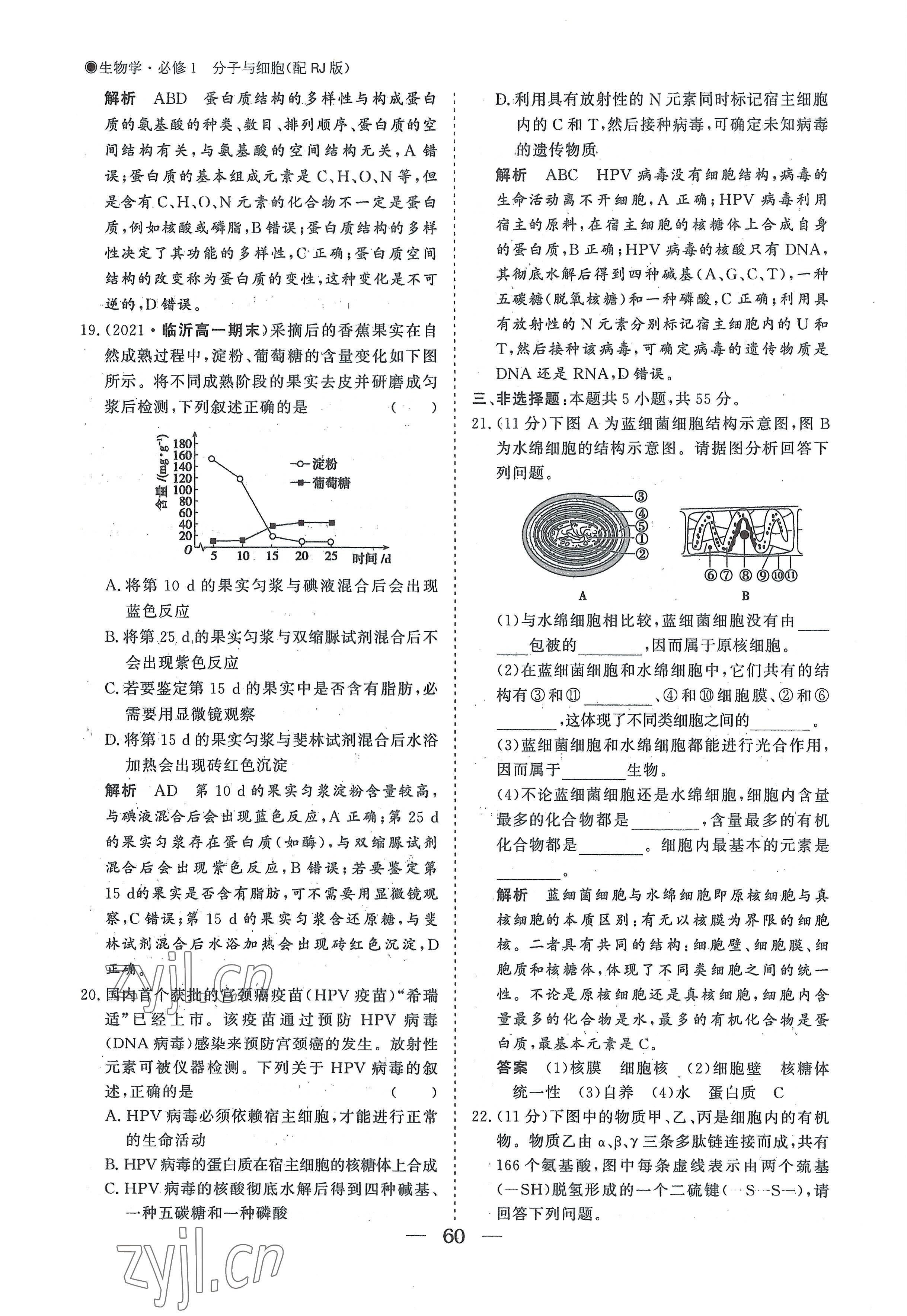 2022年高中导学测控优化设计方案高中生物必修1人教版 参考答案第60页