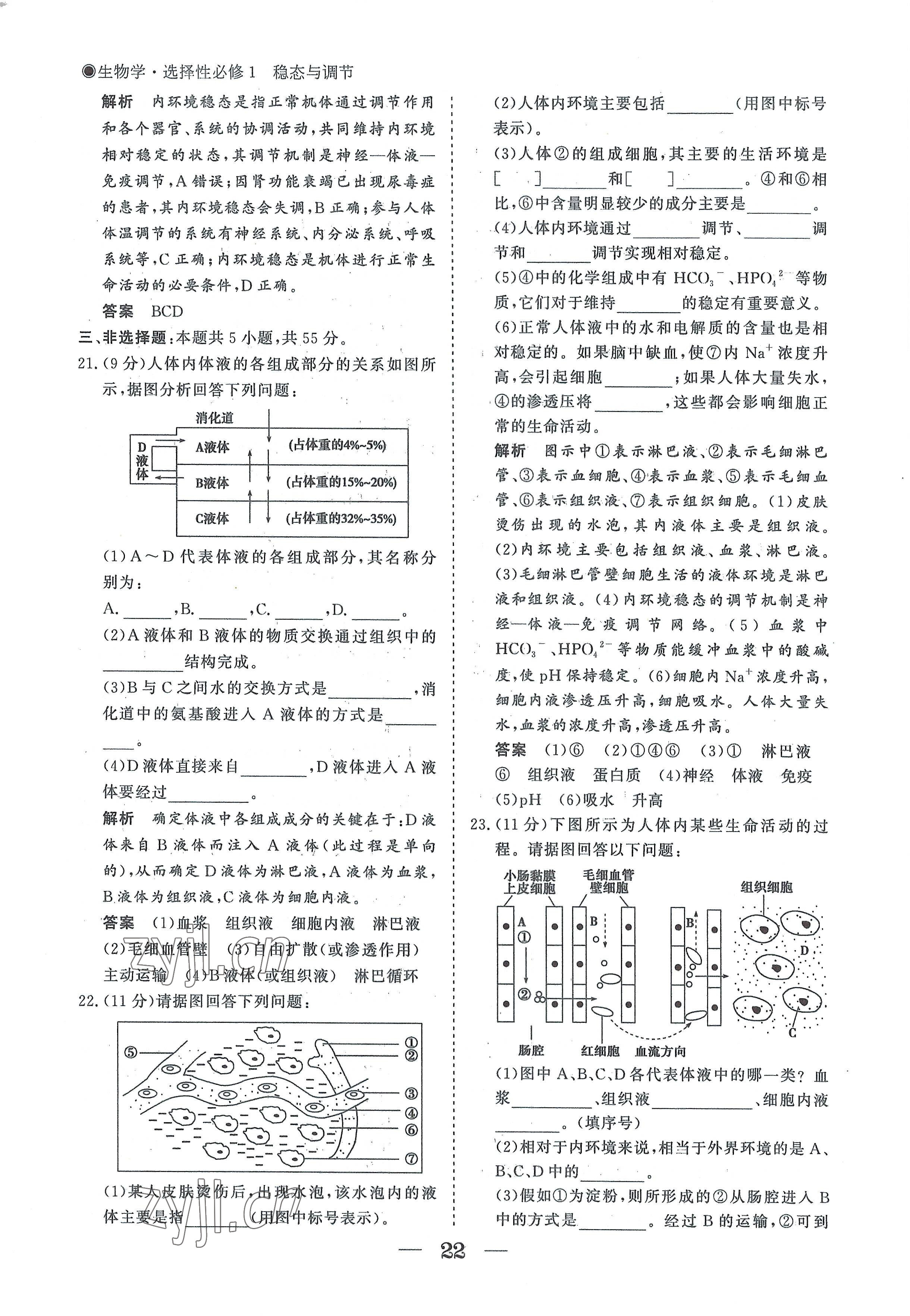 2022年高中导学测控优化设计方案生物选择性必修1人教版 参考答案第22页