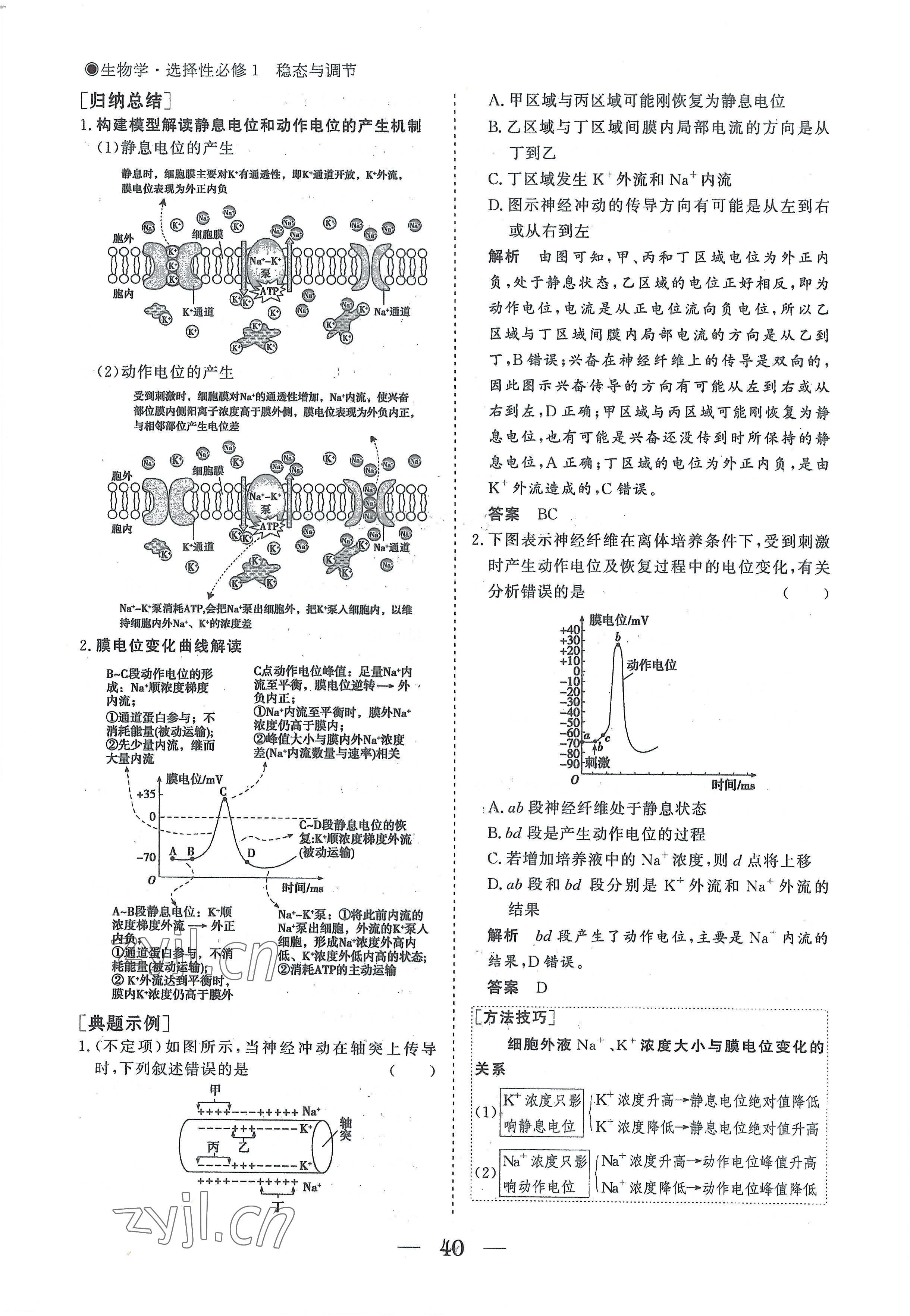 2022年高中导学测控优化设计方案生物选择性必修1人教版 参考答案第40页