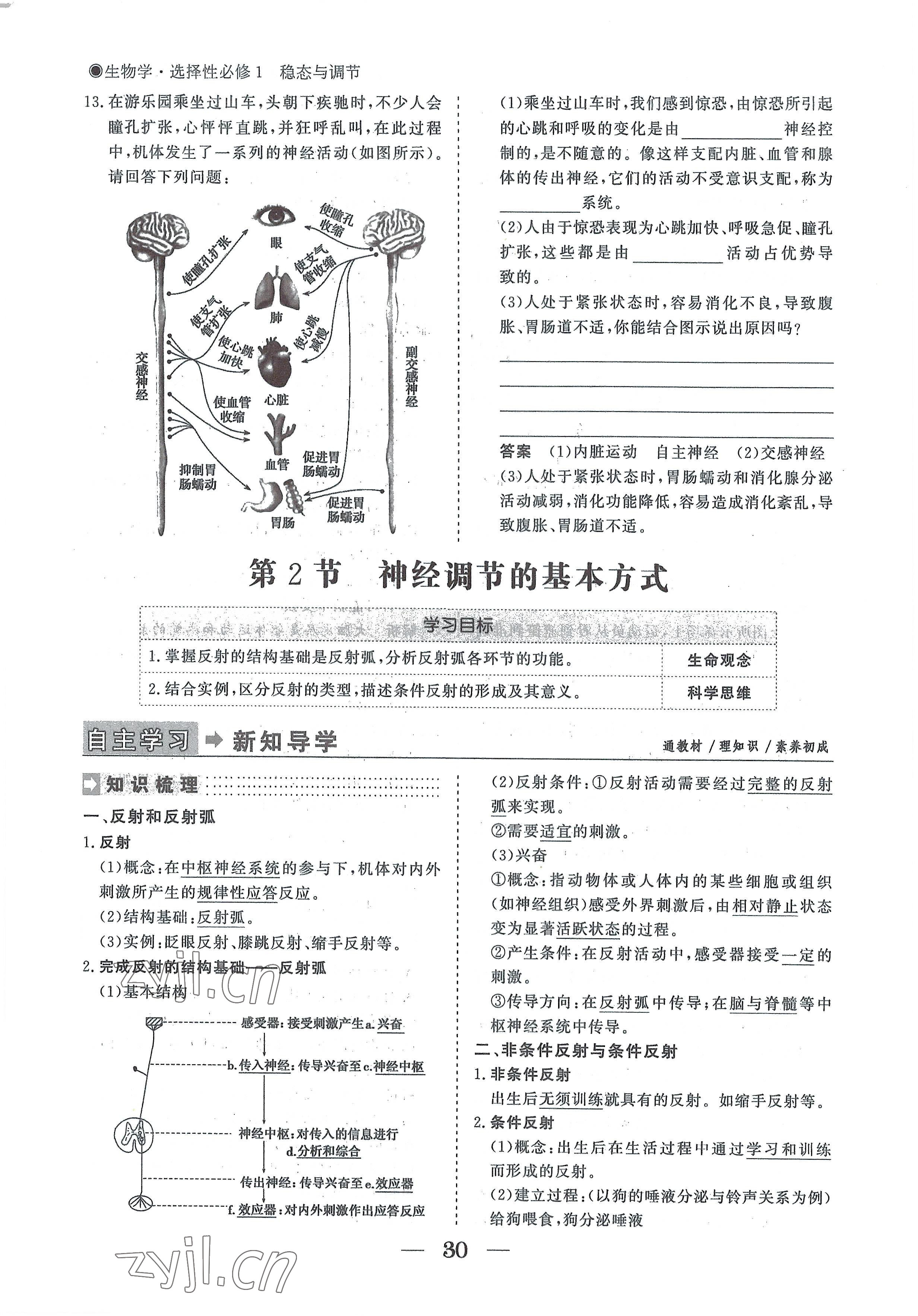 2022年高中导学测控优化设计方案生物选择性必修1人教版 参考答案第30页