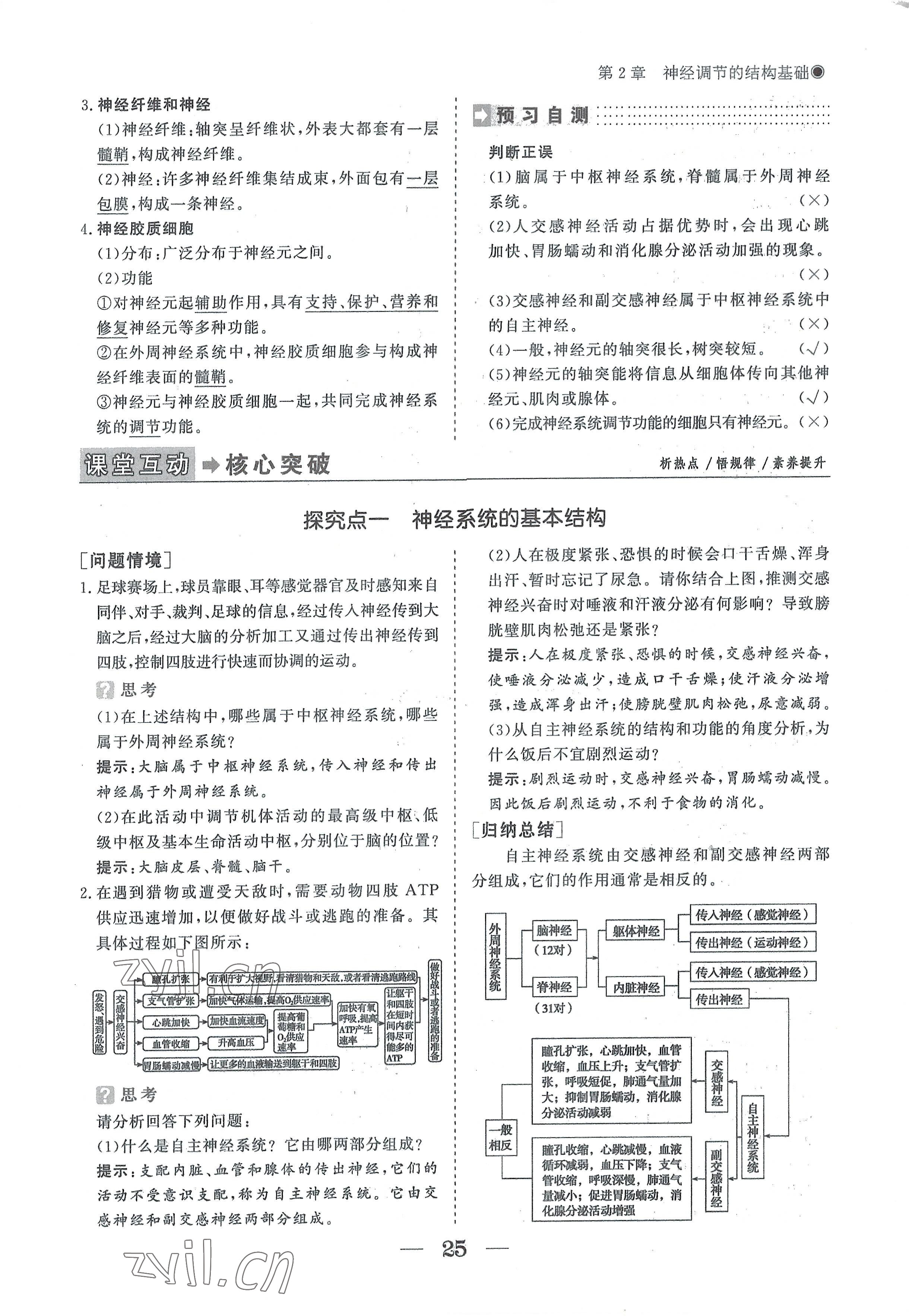 2022年高中导学测控优化设计方案生物选择性必修1人教版 参考答案第25页