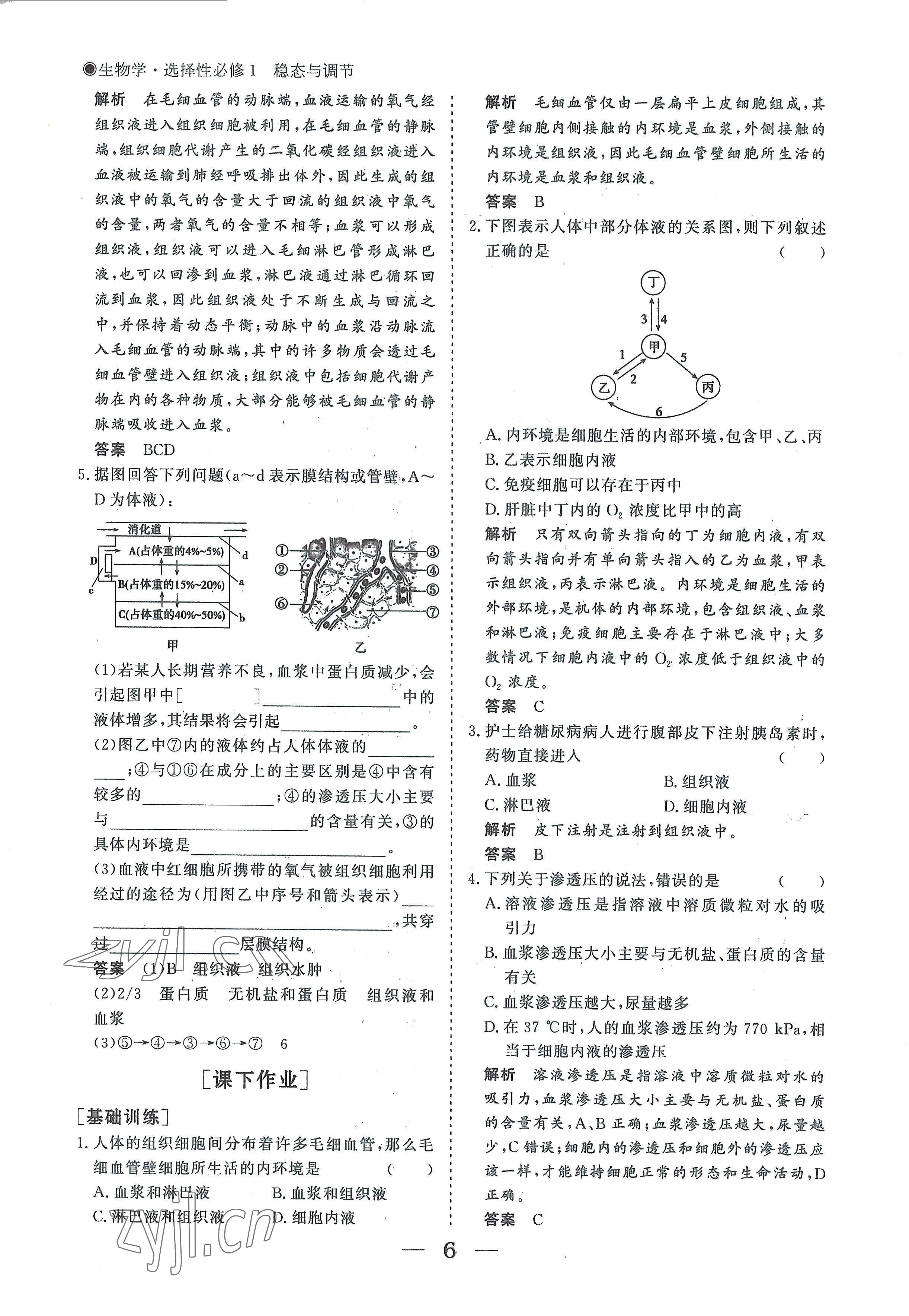 2022年高中导学测控优化设计方案生物选择性必修1人教版 参考答案第6页