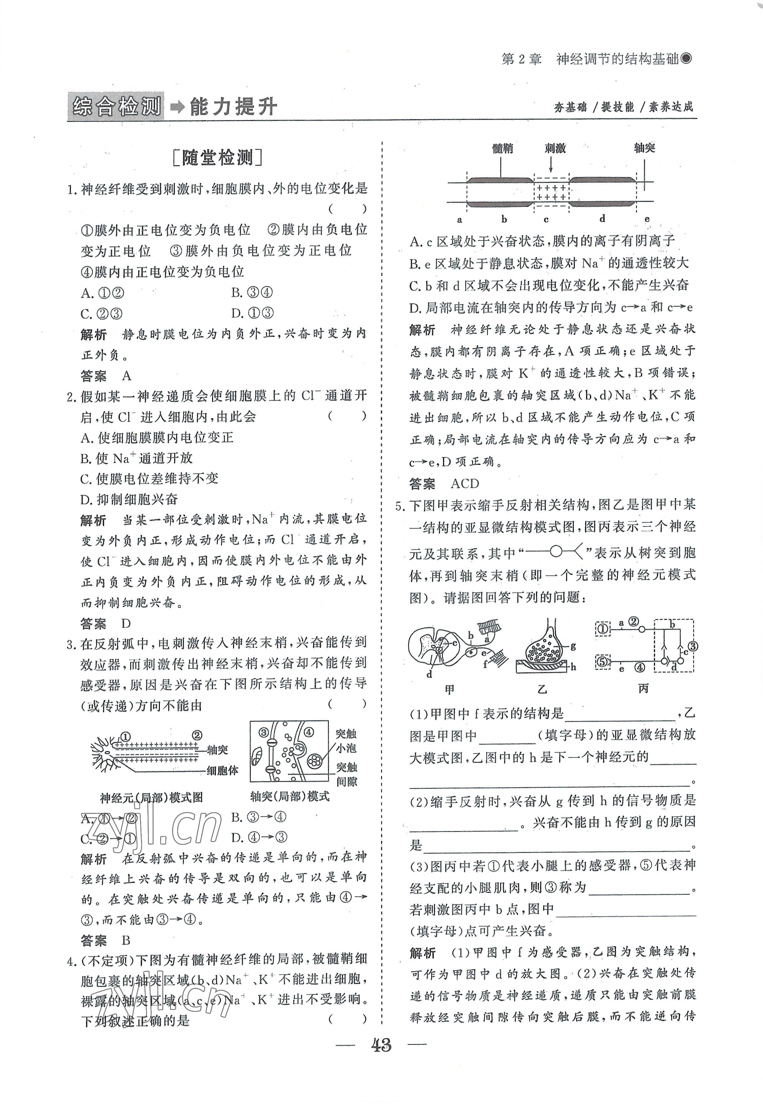 2022年高中导学测控优化设计方案生物选择性必修1人教版 参考答案第43页