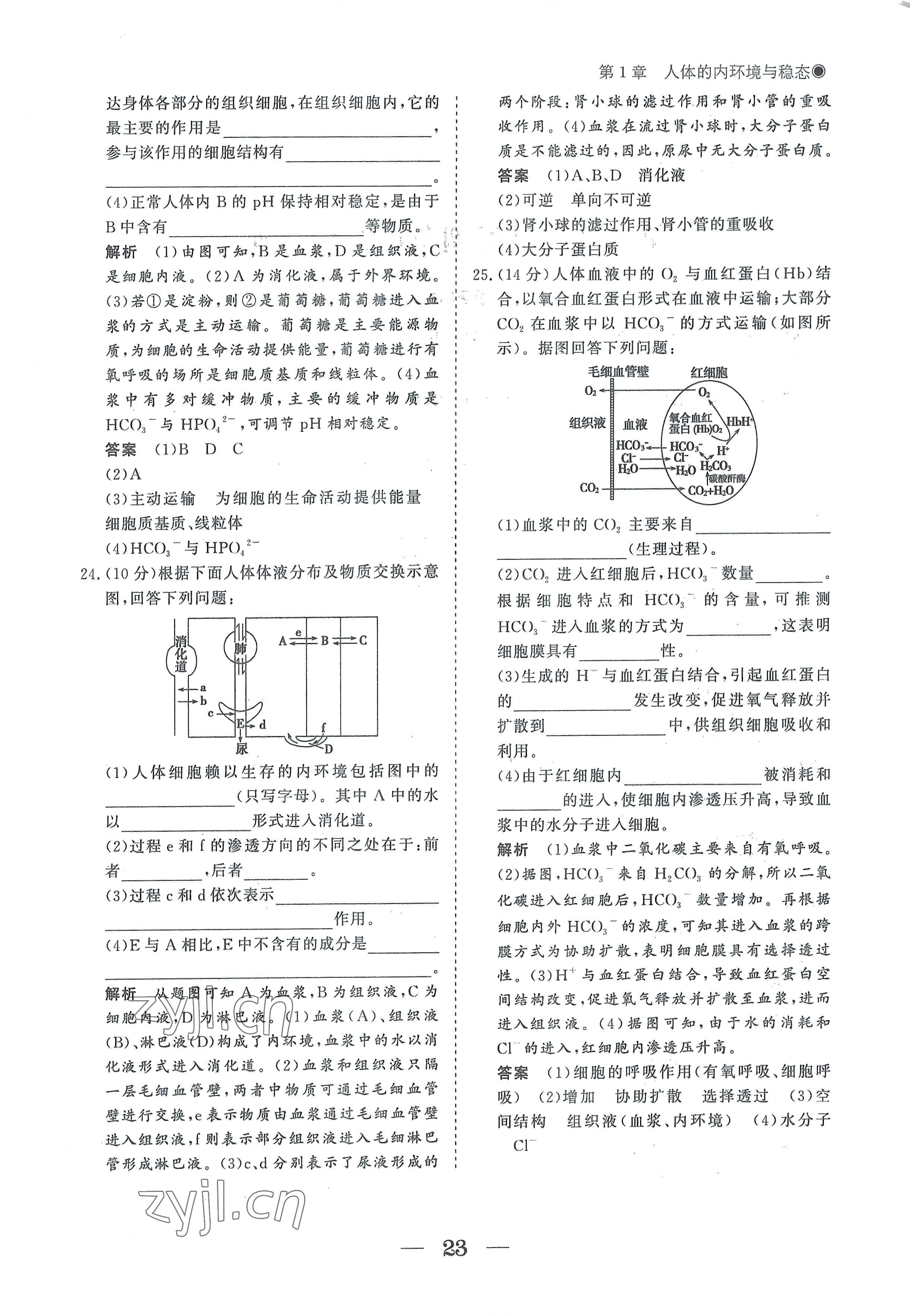 2022年高中导学测控优化设计方案生物选择性必修1人教版 参考答案第23页