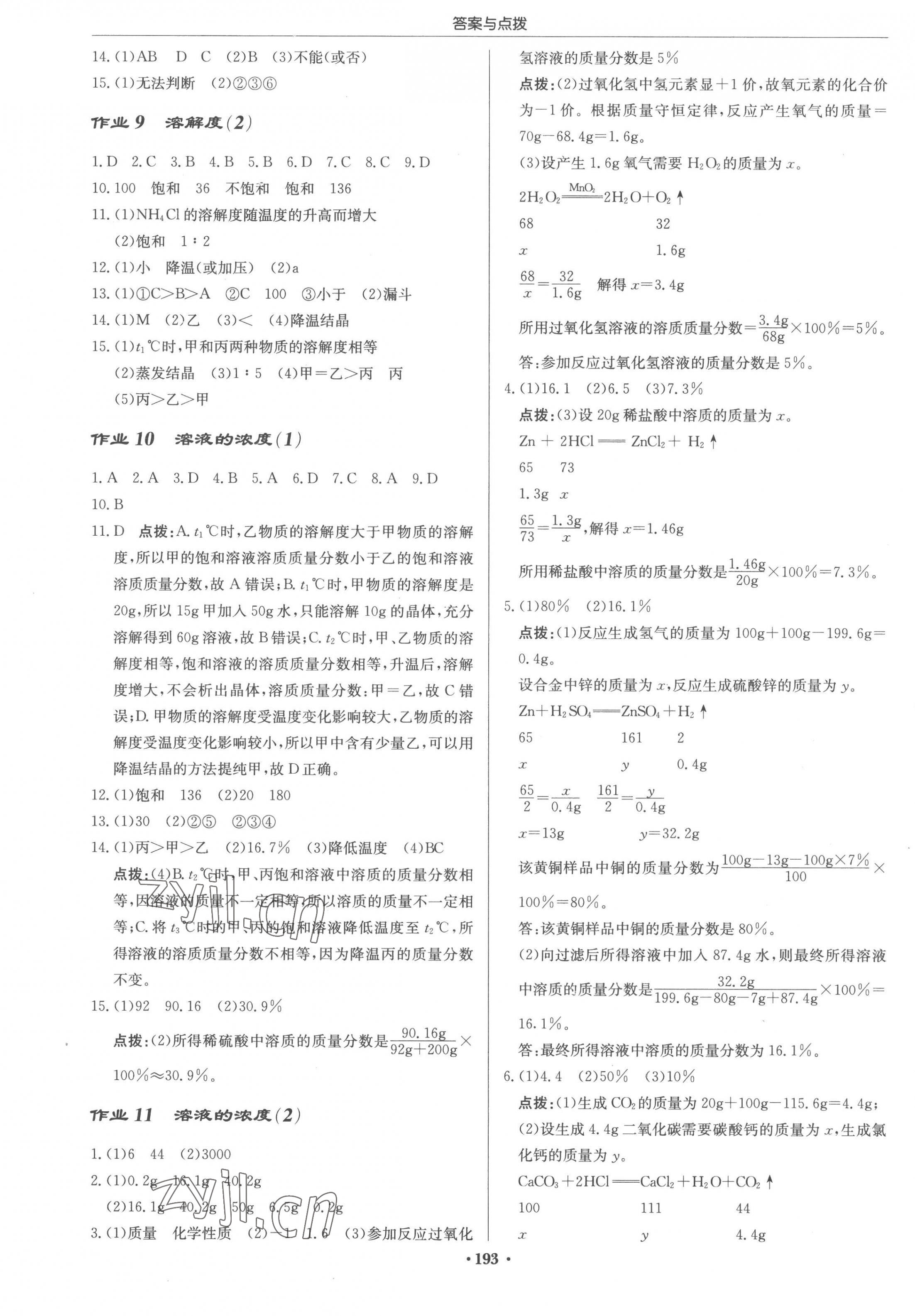 2023年启东中学作业本九年级化学下册人教版 第3页