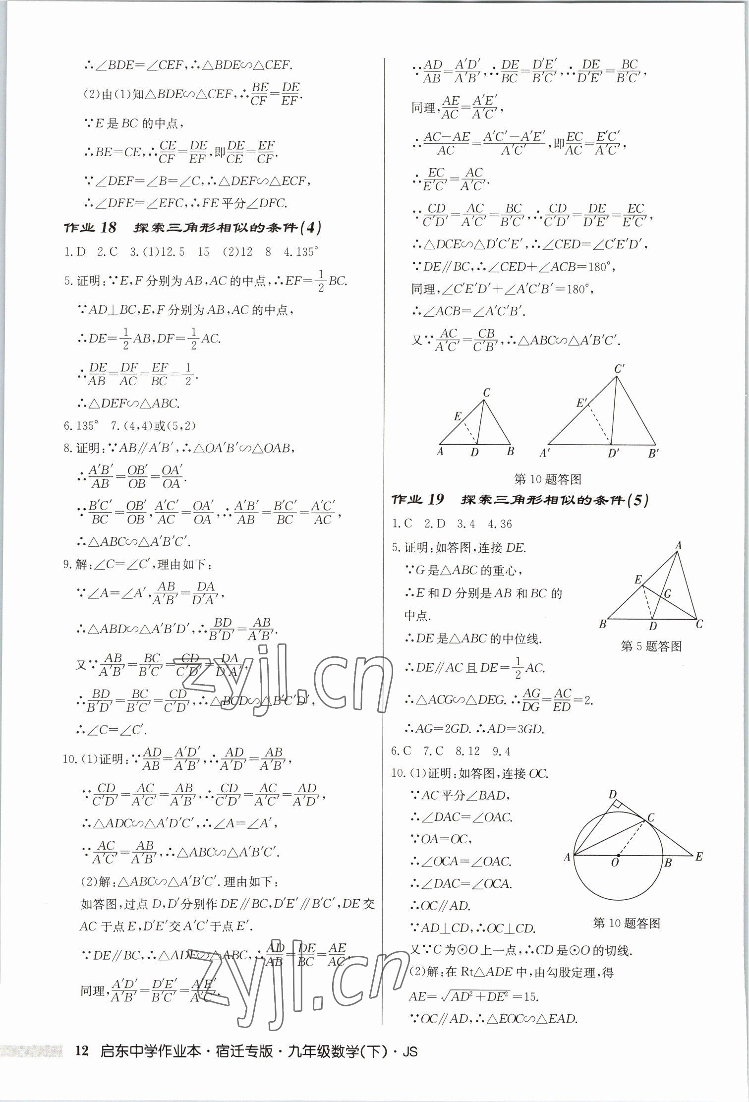 2023年啟東中學作業(yè)本九年級數(shù)學下冊蘇科版宿遷專版 第12頁