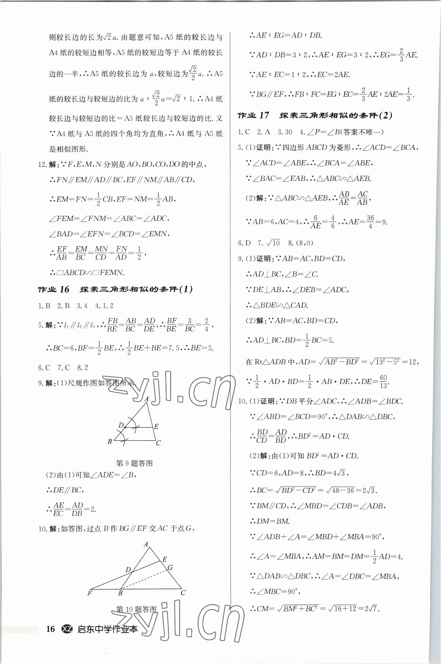 2023年啟東中學(xué)作業(yè)本九年級數(shù)學(xué)下冊蘇科版徐州專版 第16頁