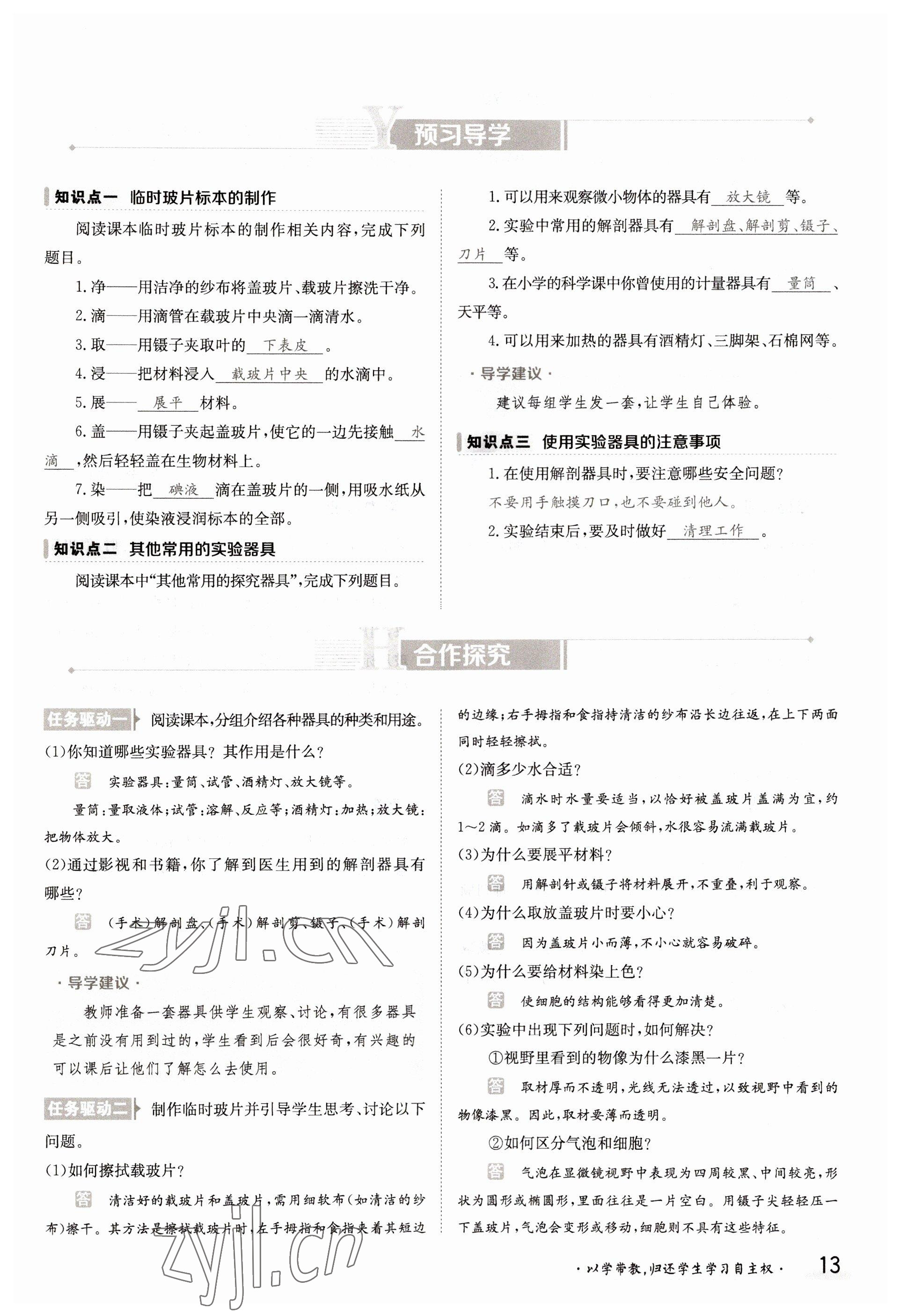 2022年金太阳导学案七年级生物上册苏教版 参考答案第13页